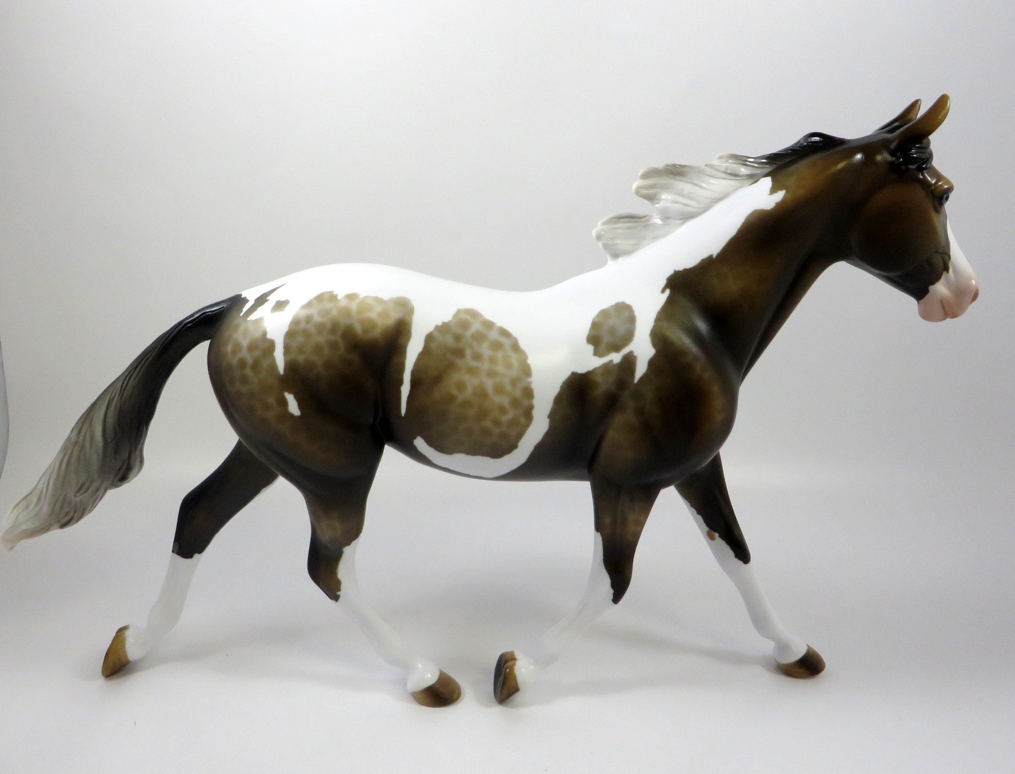 FOXY BOY-OOAK LACED SOOTY BUCKSKIN PINTO PALOUSE BY MISSY FOX 8/1/19