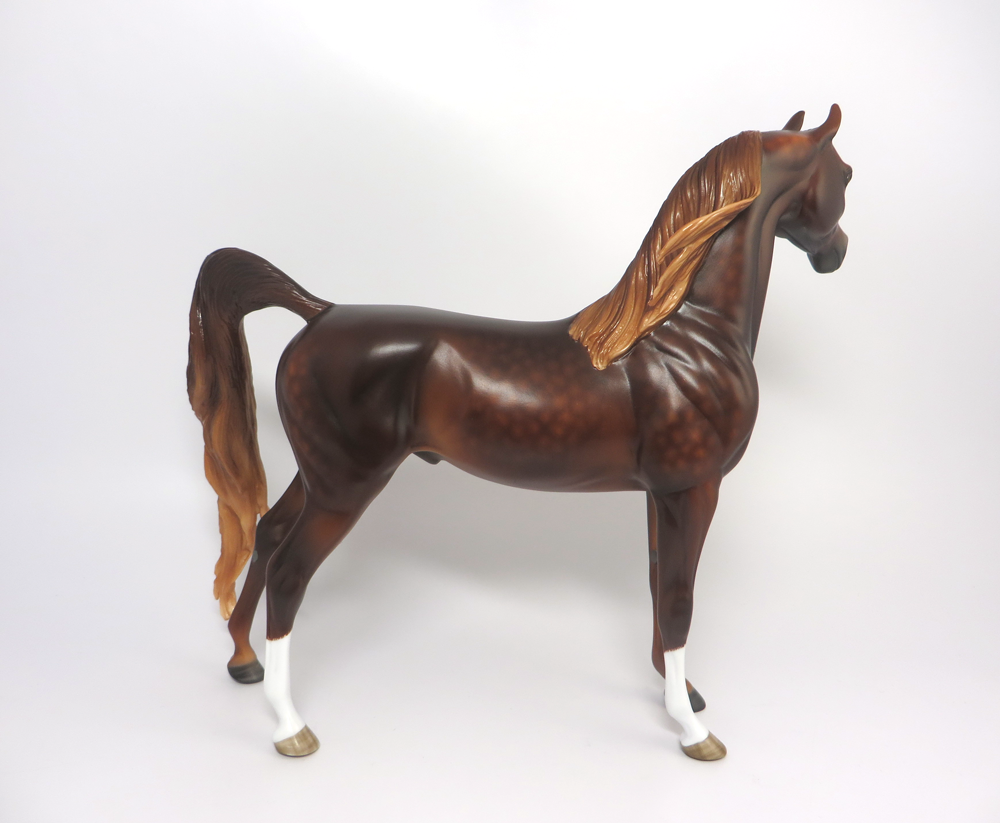 Liver Chestnut Arabian Sheryl Leisure