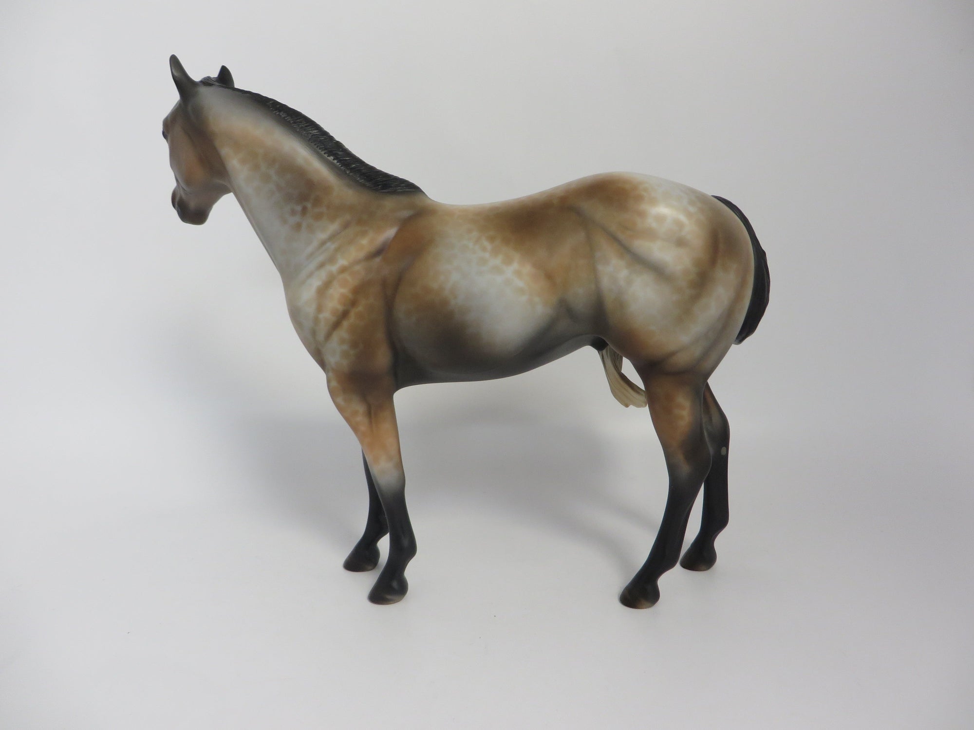 FOXY IN LACE -OOAK LACED BAY ISH MODEL HORSE BY MISSY FOX 8/1/19