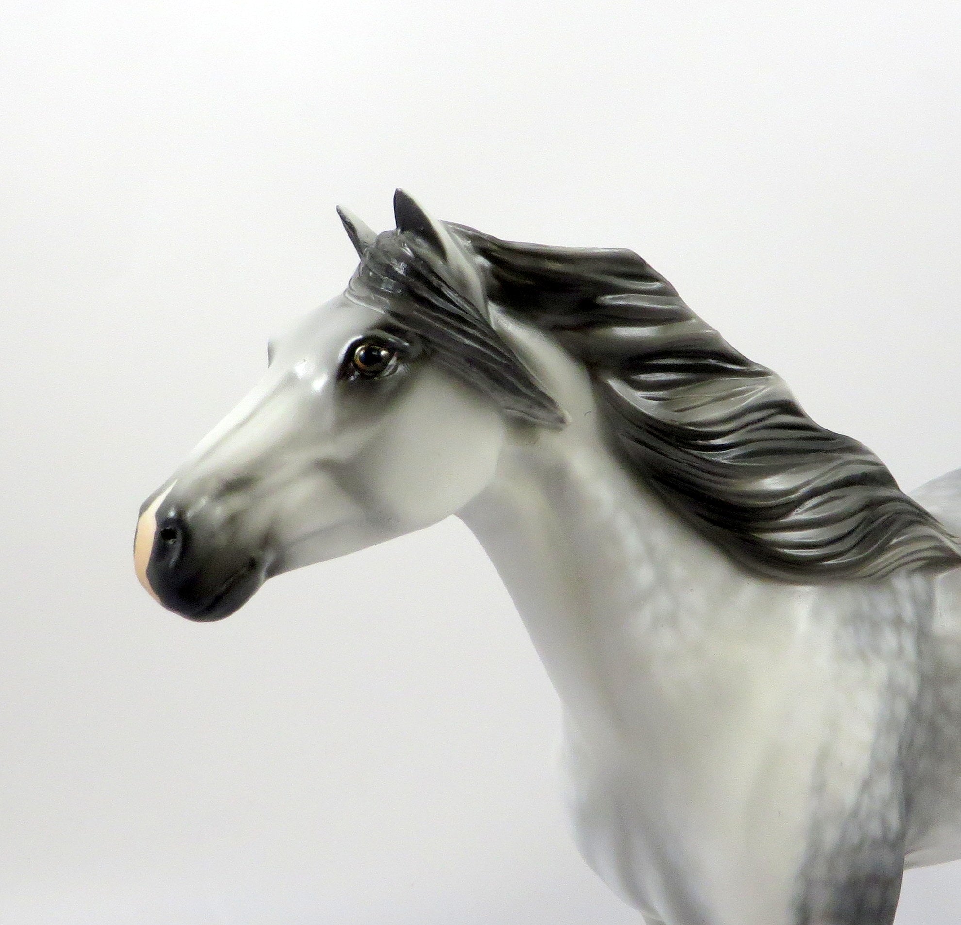 KEEP SAKE-OOAK STAR DAPPLE GREY SPANISH MUSTANG MODEL HORSE 8/05/19