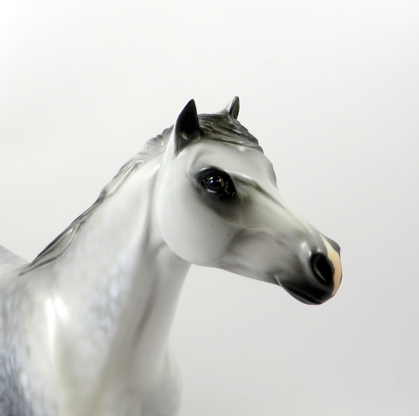 KEEP SAKE-OOAK STAR DAPPLE GREY SPANISH MUSTANG MODEL HORSE 8/05/19