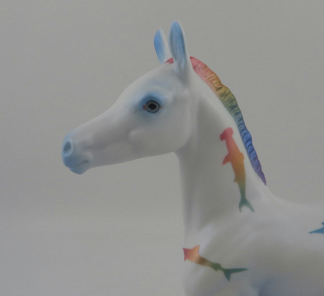 AQUA-OOAK ARAB FOAL DECORATOR SHARK WEEK 8/7/20