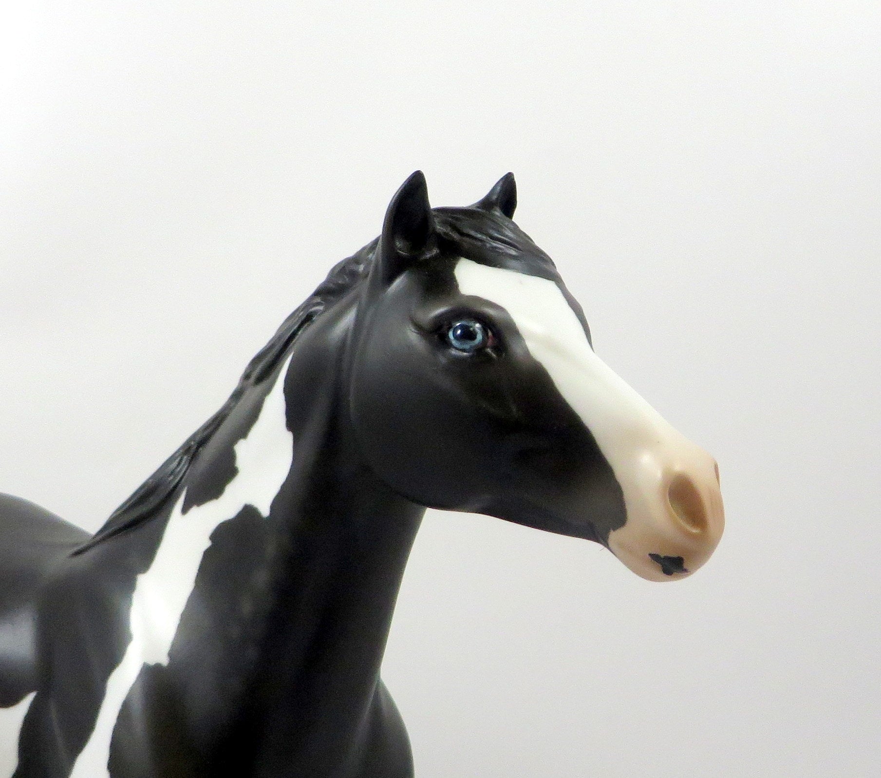 CALIMERO-OOAK BLACK PAINT SPANISH MUSTANG MODEL HORSE 8/5/19
