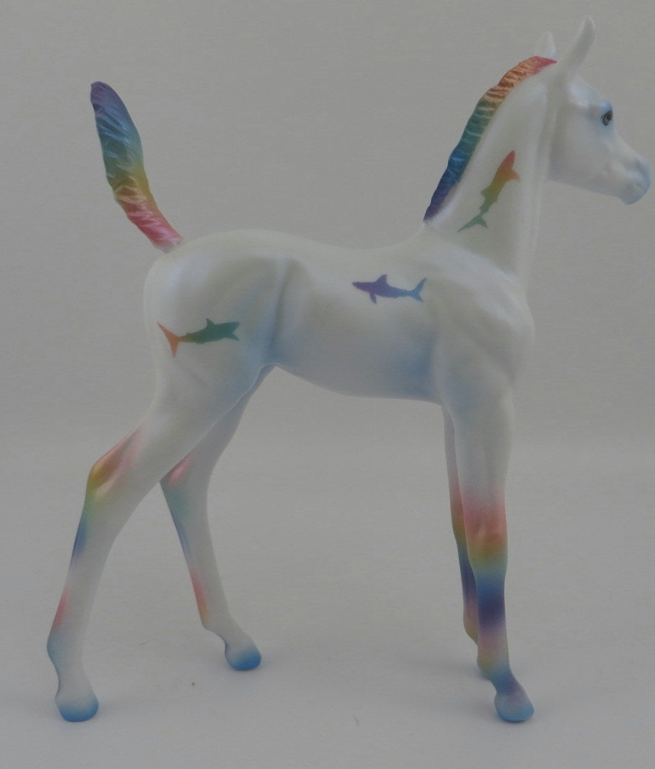 AQUA-OOAK ARAB FOAL DECORATOR SHARK WEEK 8/7/20