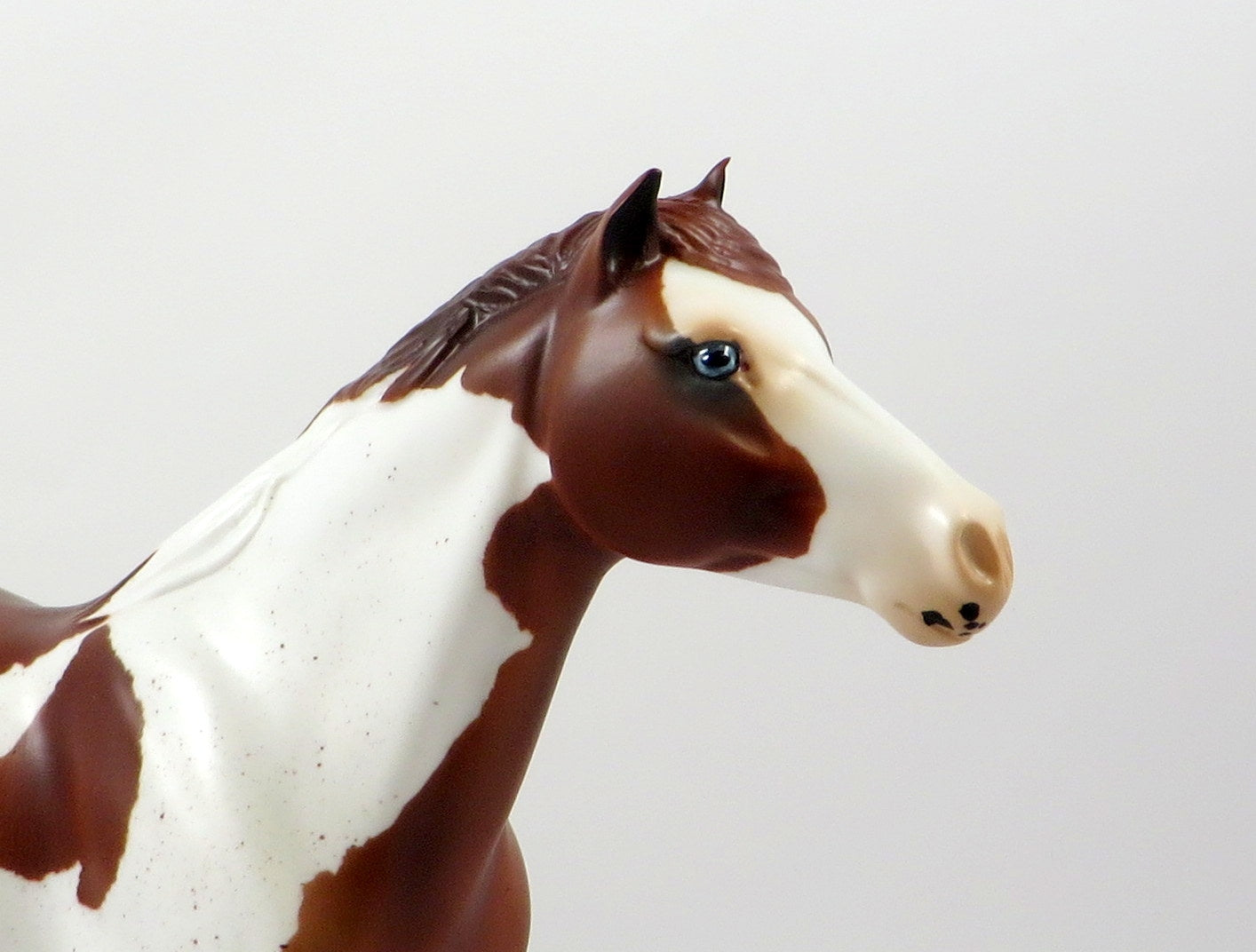 POINT TAKEN-OOAK CHESTNUT OVERO WITH BELTON SPOTTING SPANISH MUSTANG MODEL HORSE 8/5/19