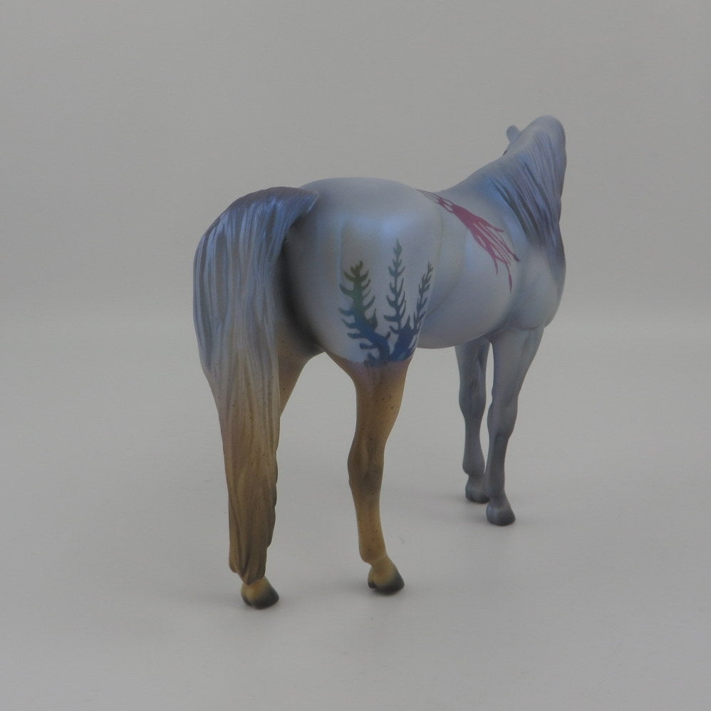 OCTIVA-OOAK SHARK WEEK DECORATOR ARABIAN MARE 8/7/20