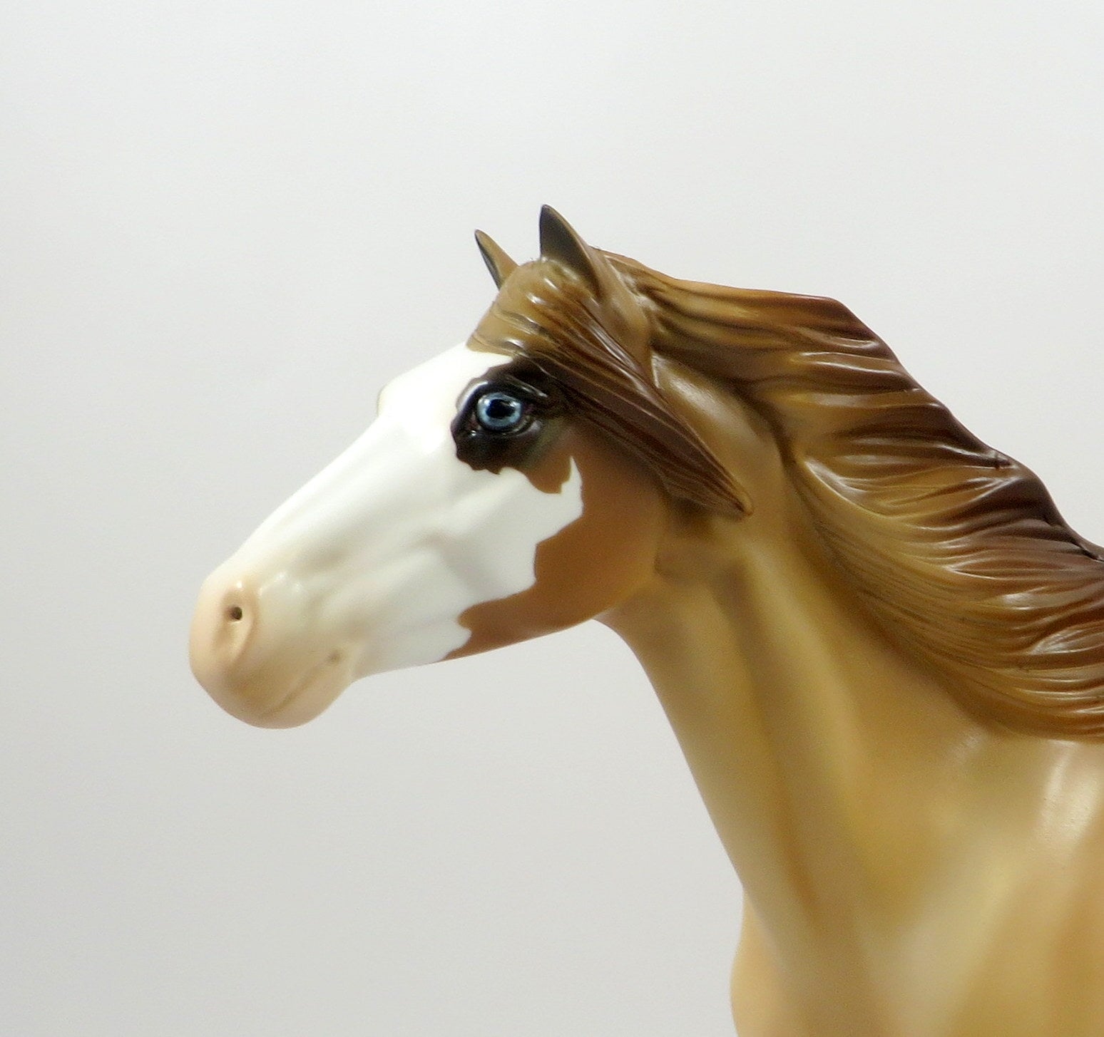 HONEY BUN-OOAK RED DUN SPANISH MODEL HORSE 8/5/19