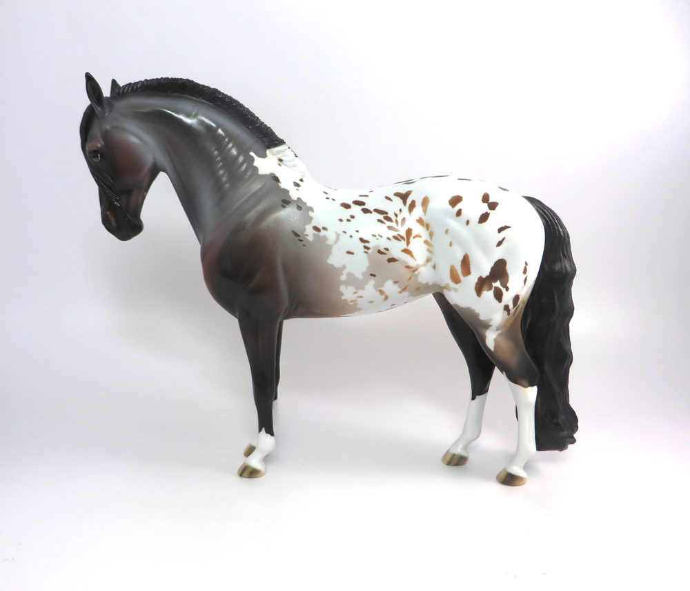 LEXIE -- OOAK BAY BLANKET APPALOOSA CUSTOM ANDALUSIAN BY DAWN QUICK 3-8-19
