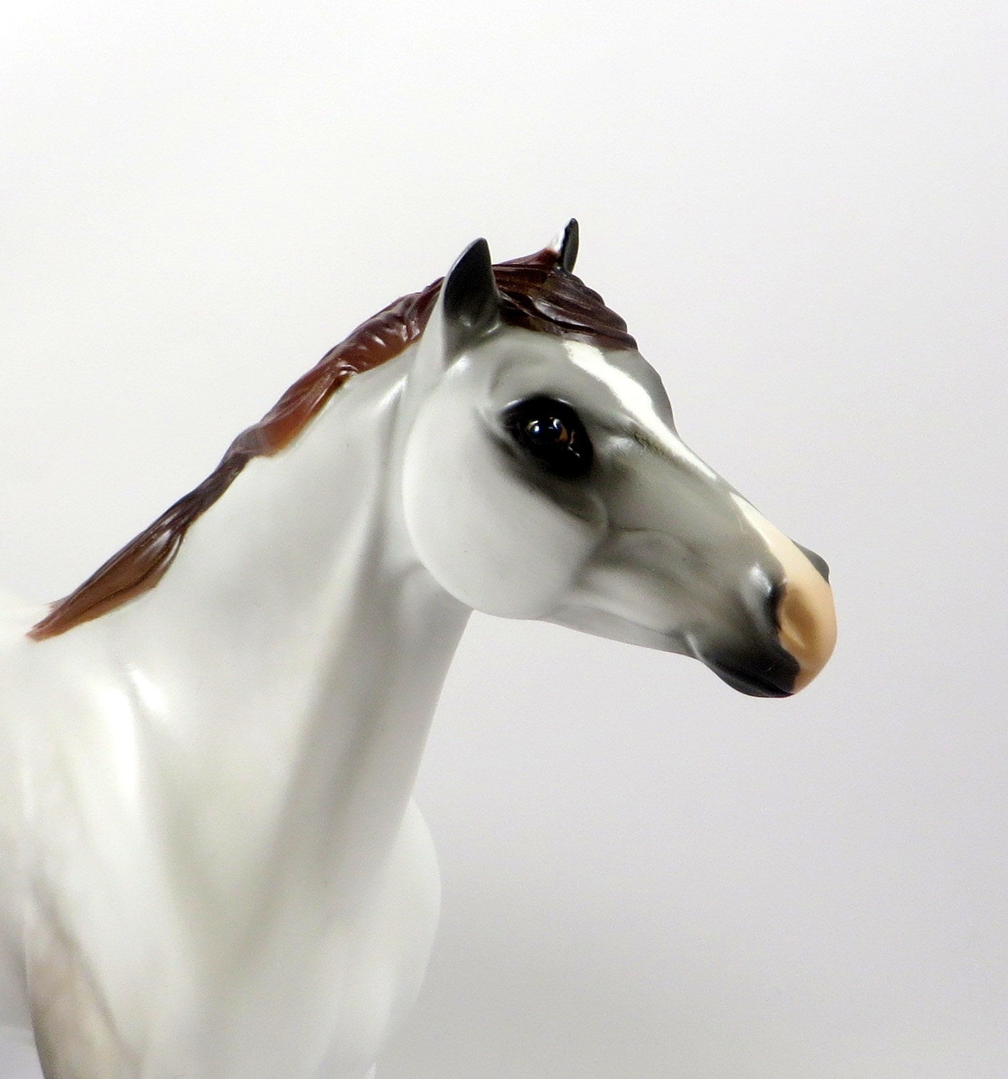 DANCE AWAY-OOAK MAULBERRY GREY SPANISH MUSTANG MODEL HORSE 8/5/19