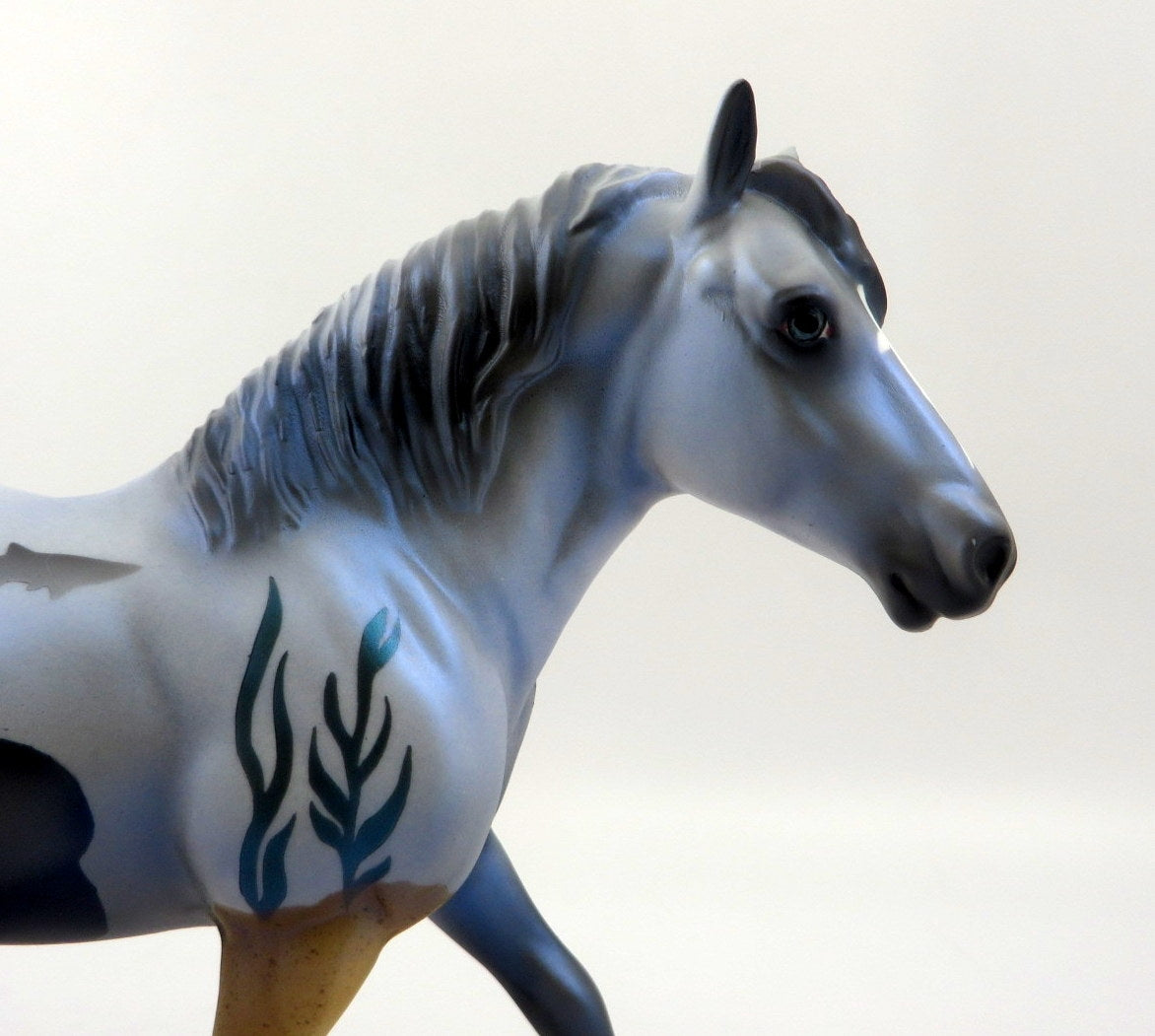 TIMOR-LE-8 SHARK WEEK DECORATOR PEBBLES BY AUDREY DIXON 8/7/2020