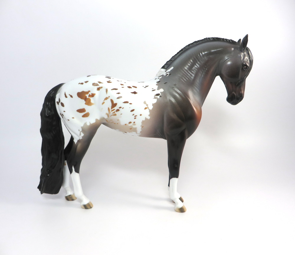 LEXIE -- OOAK BAY BLANKET APPALOOSA CUSTOM ANDALUSIAN BY DAWN QUICK 3-8-19