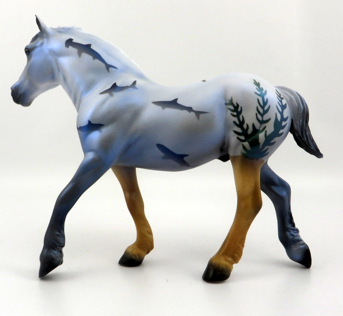 TIMOR-LE-8 SHARK WEEK DECORATOR PEBBLES BY AUDREY DIXON 8/7/2020