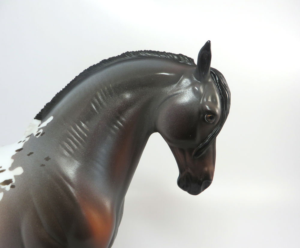 LEXIE -- OOAK BAY BLANKET APPALOOSA CUSTOM ANDALUSIAN BY DAWN QUICK 3-8-19