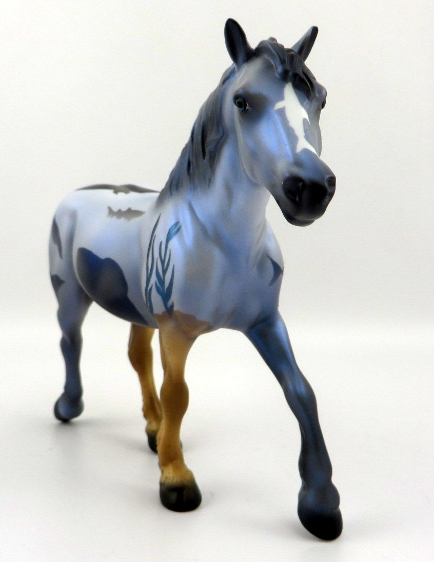 TIMOR-LE-8 SHARK WEEK DECORATOR PEBBLES BY AUDREY DIXON 8/7/2020