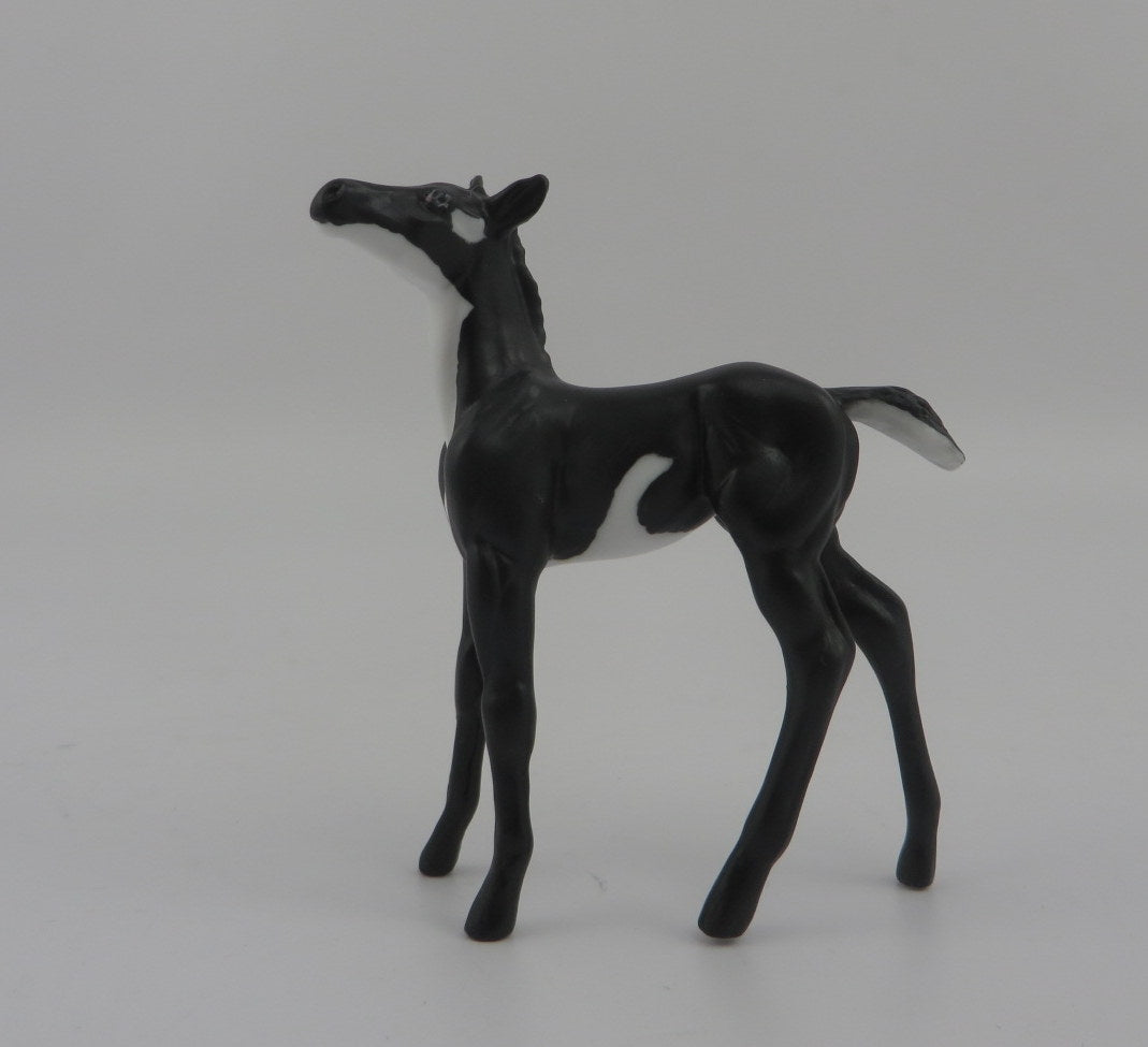 ORCA-LE-5 SHARK WEEK DECORATOR FOAL BY AUDREY DIXON 8/7/20