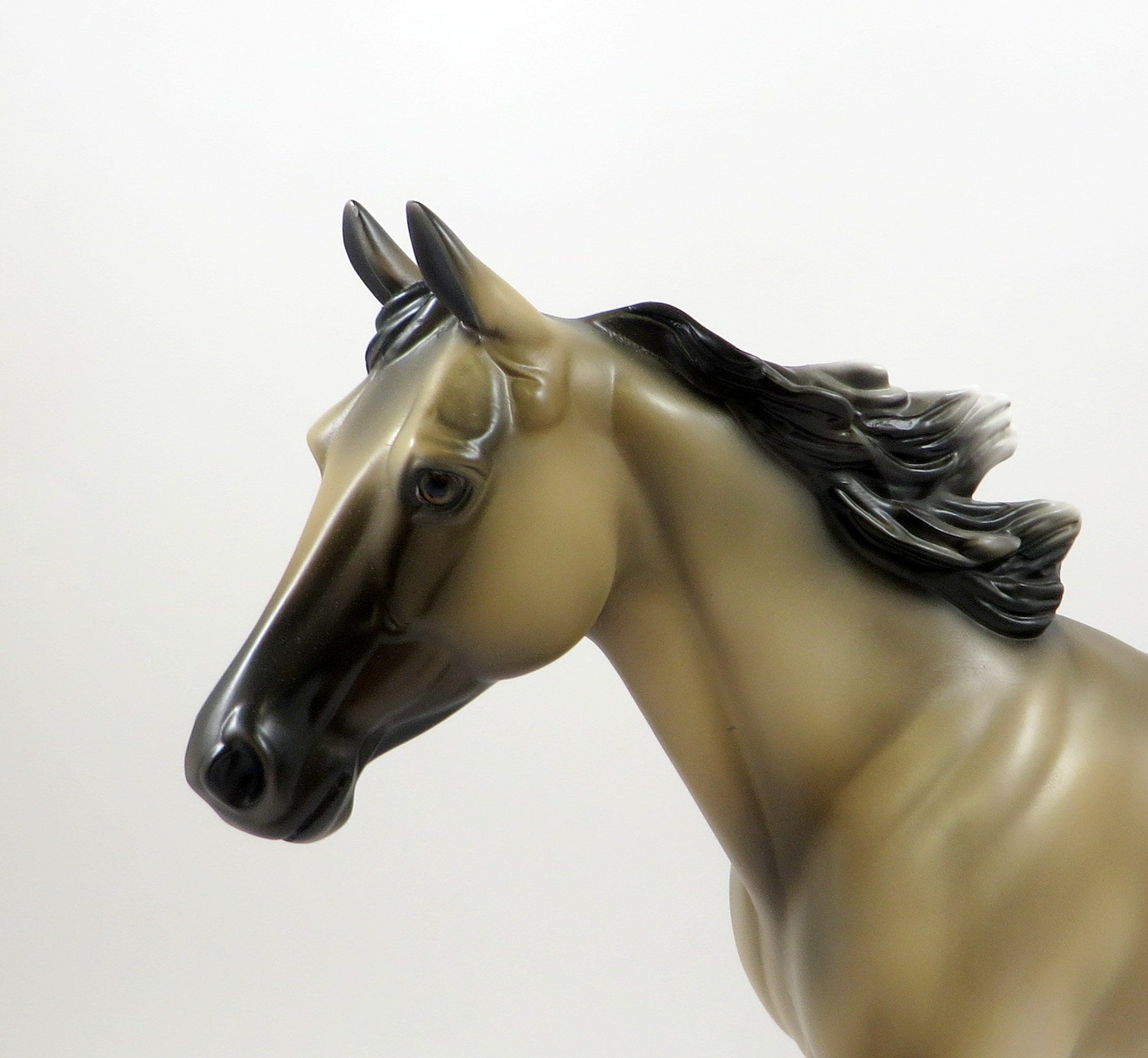 FLAMING HEART-OOAK GRULLA PALOUSE MODEL HORSE 8/5/19