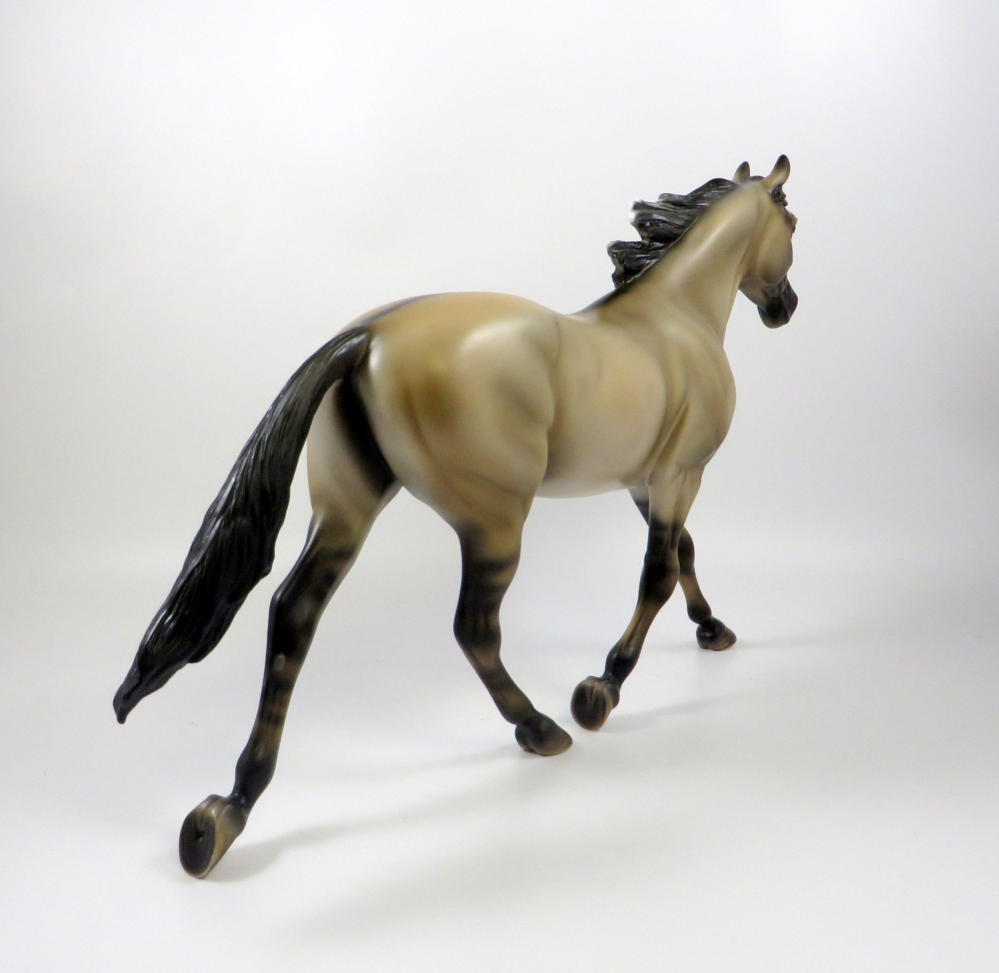 FLAMING HEART-OOAK GRULLA PALOUSE MODEL HORSE 8/5/19