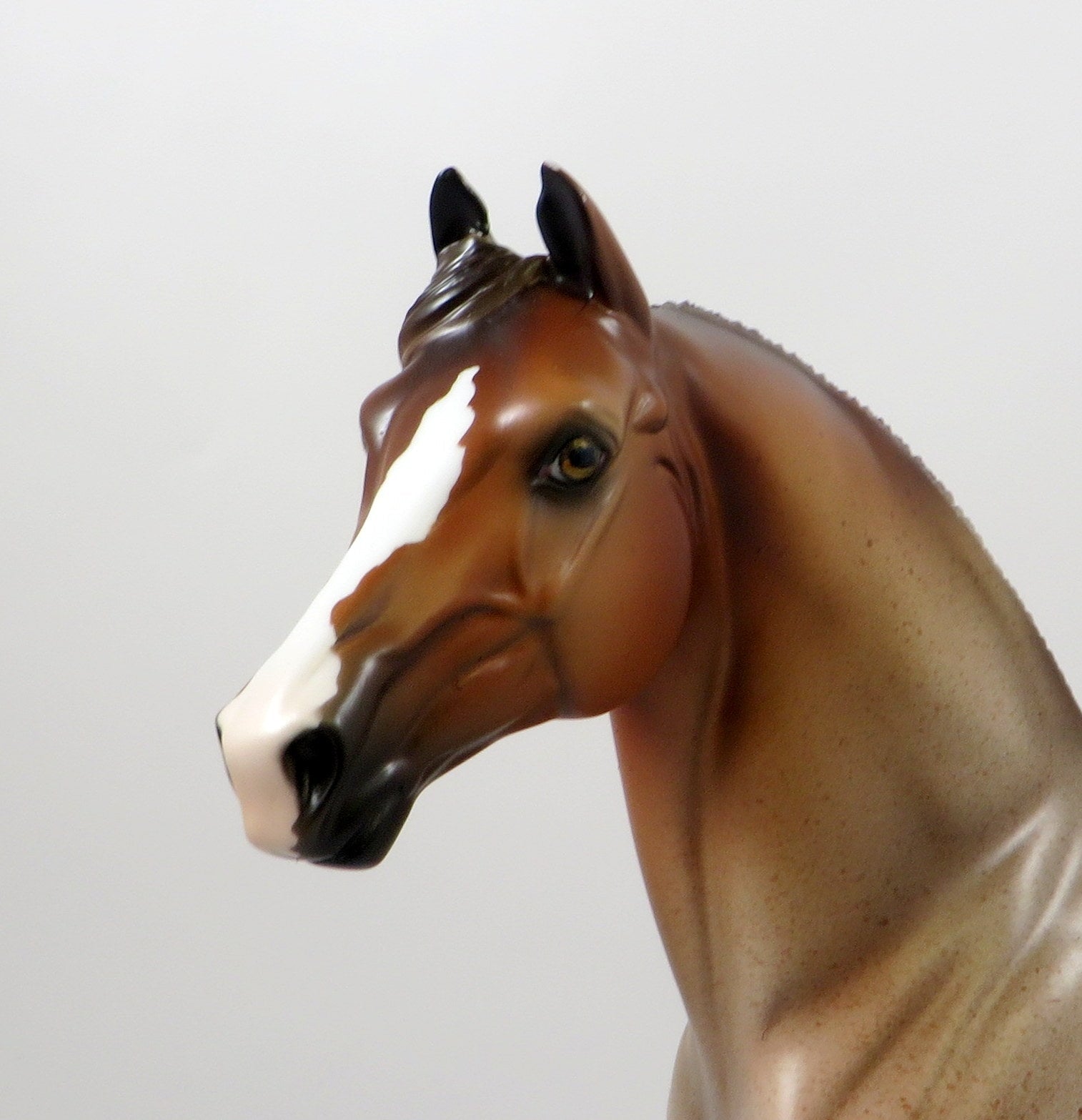 MARLETT-OOAK RED ROAN MORGAN MODEL HORSE 8/6/19