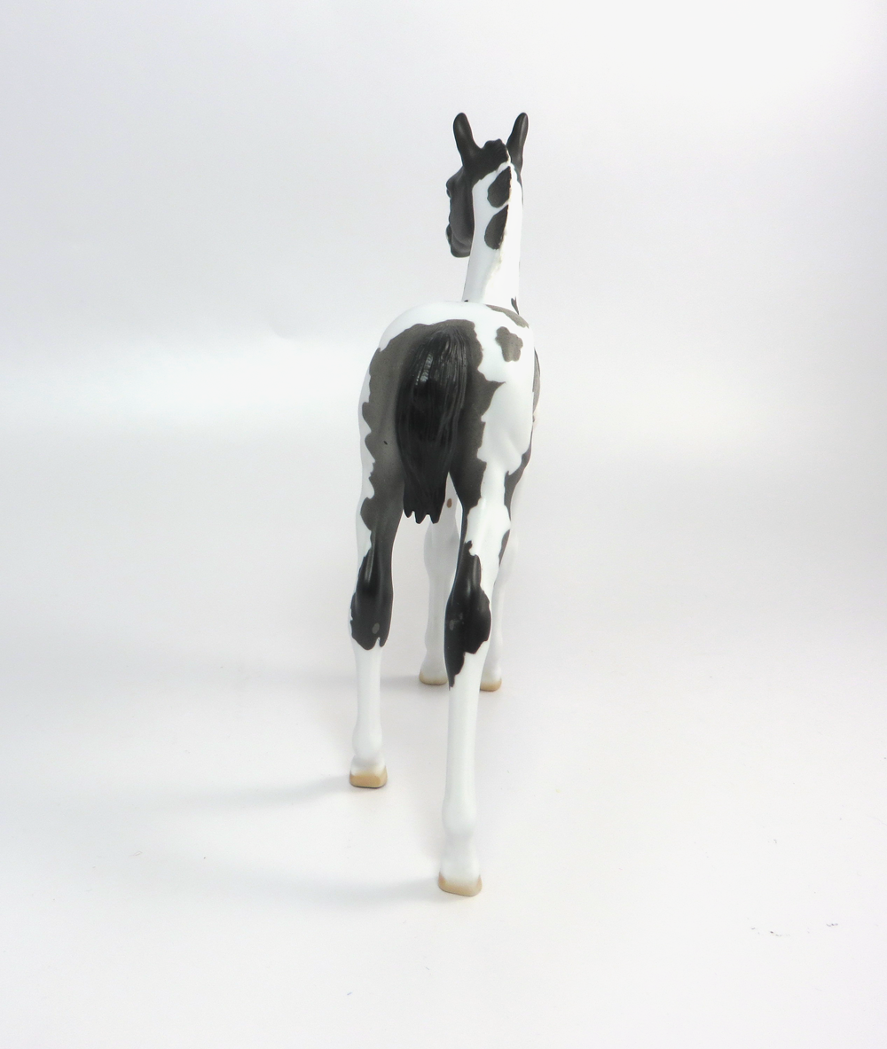 LUNA- OOAK BLUE ROAN ARABIAN FOAL CUSTOM TAIL BY DAWN QUICK 3-12-19