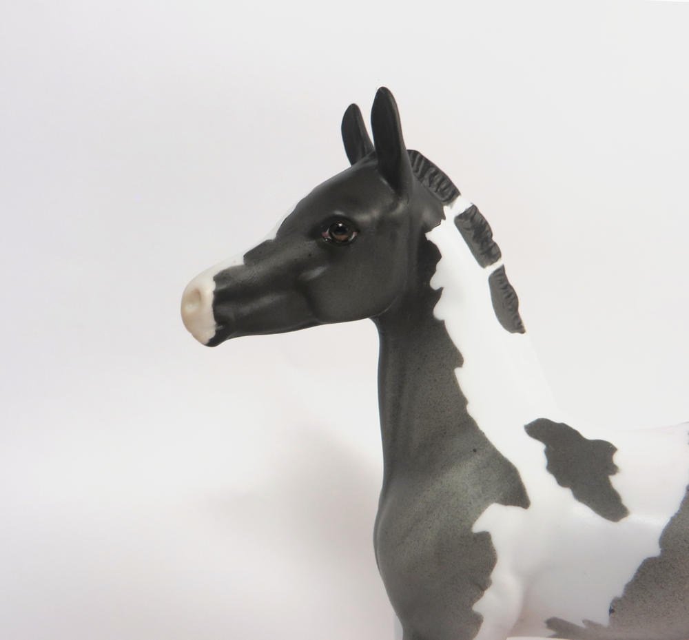 LUNA- OOAK BLUE ROAN ARABIAN FOAL CUSTOM TAIL BY DAWN QUICK 3-12-19