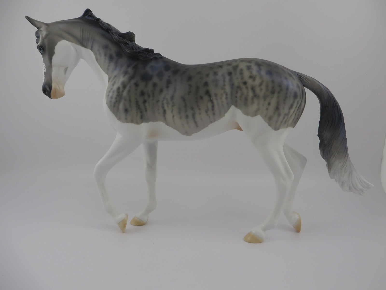 SQUALUS-OOAK TIGER SHARK THOROUGHBRED BY AUDREY DIXON SHARK WEEK 8/7/20