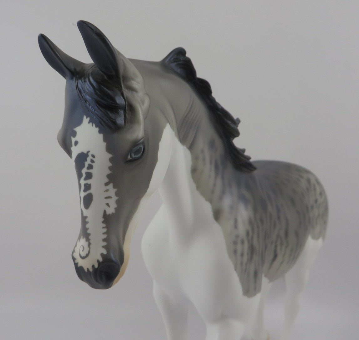 SQUALUS-OOAK TIGER SHARK THOROUGHBRED BY AUDREY DIXON SHARK WEEK 8/7/20