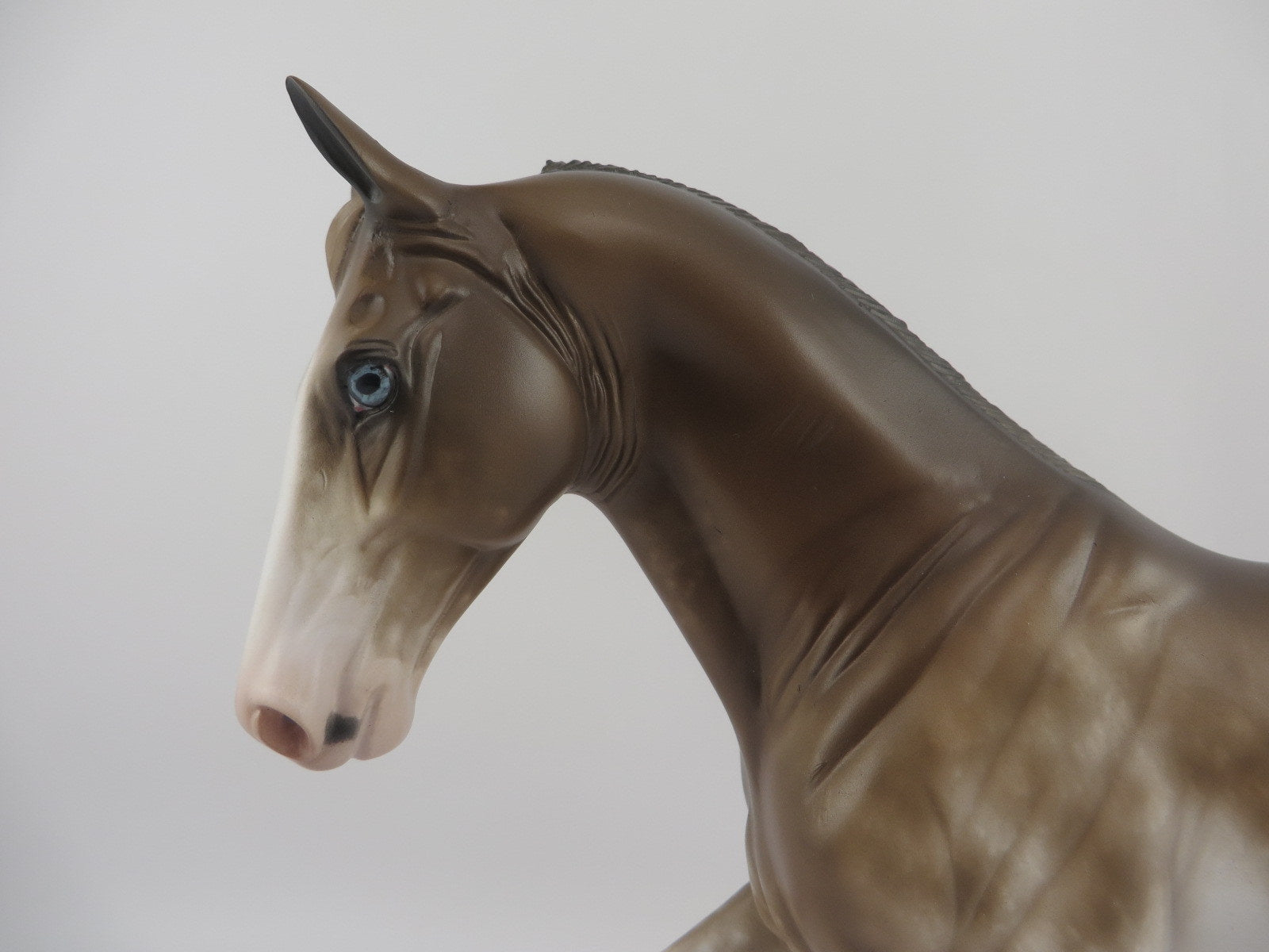 BONZER-OOAK BAY SABINO TENNESSEE WALKER BY SHERYL LEISURE 8/10/20