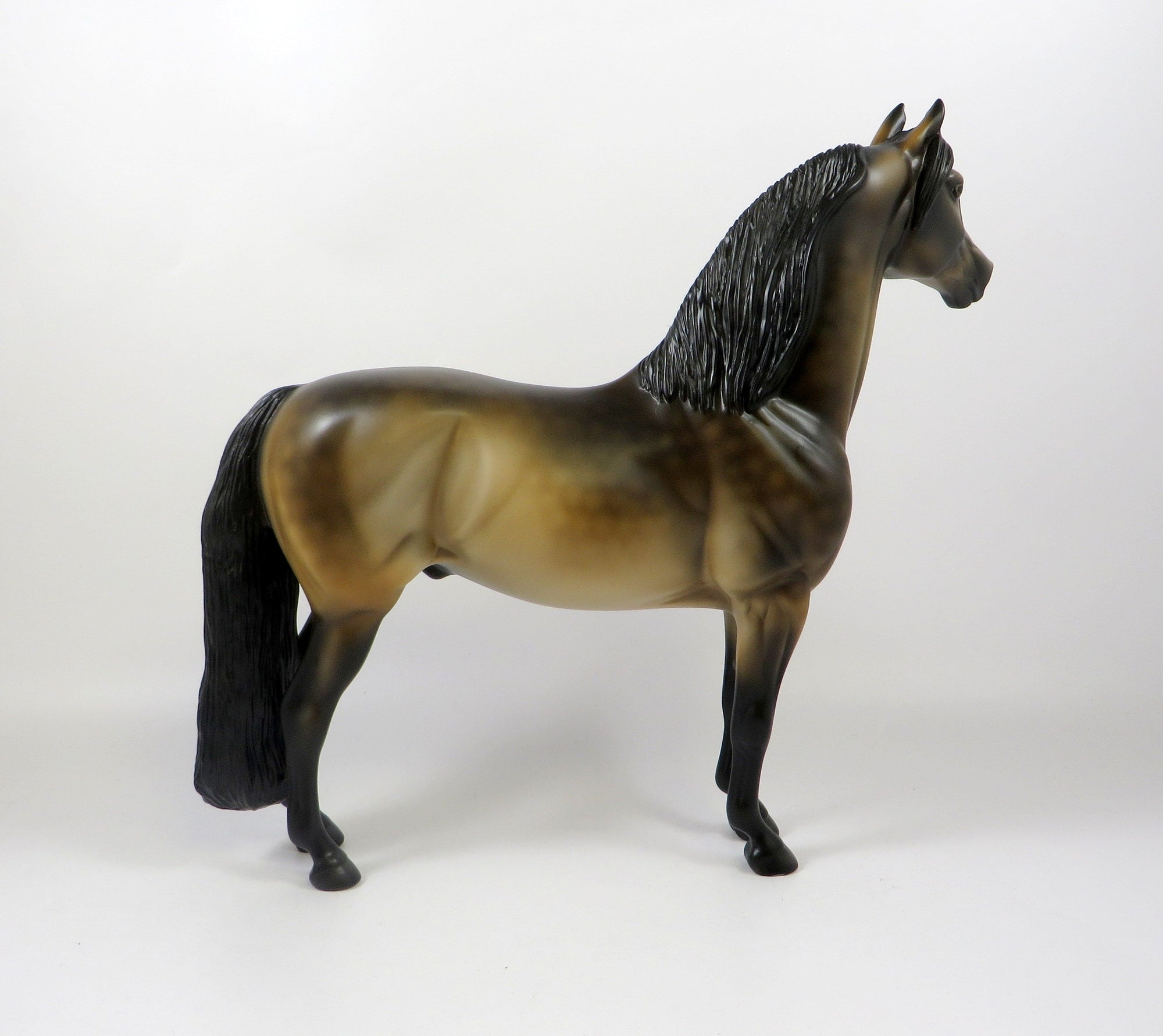 KISMET-OOAK SOOTY BUCKSKIN MORGAN MODEL HORSE 8/6/19