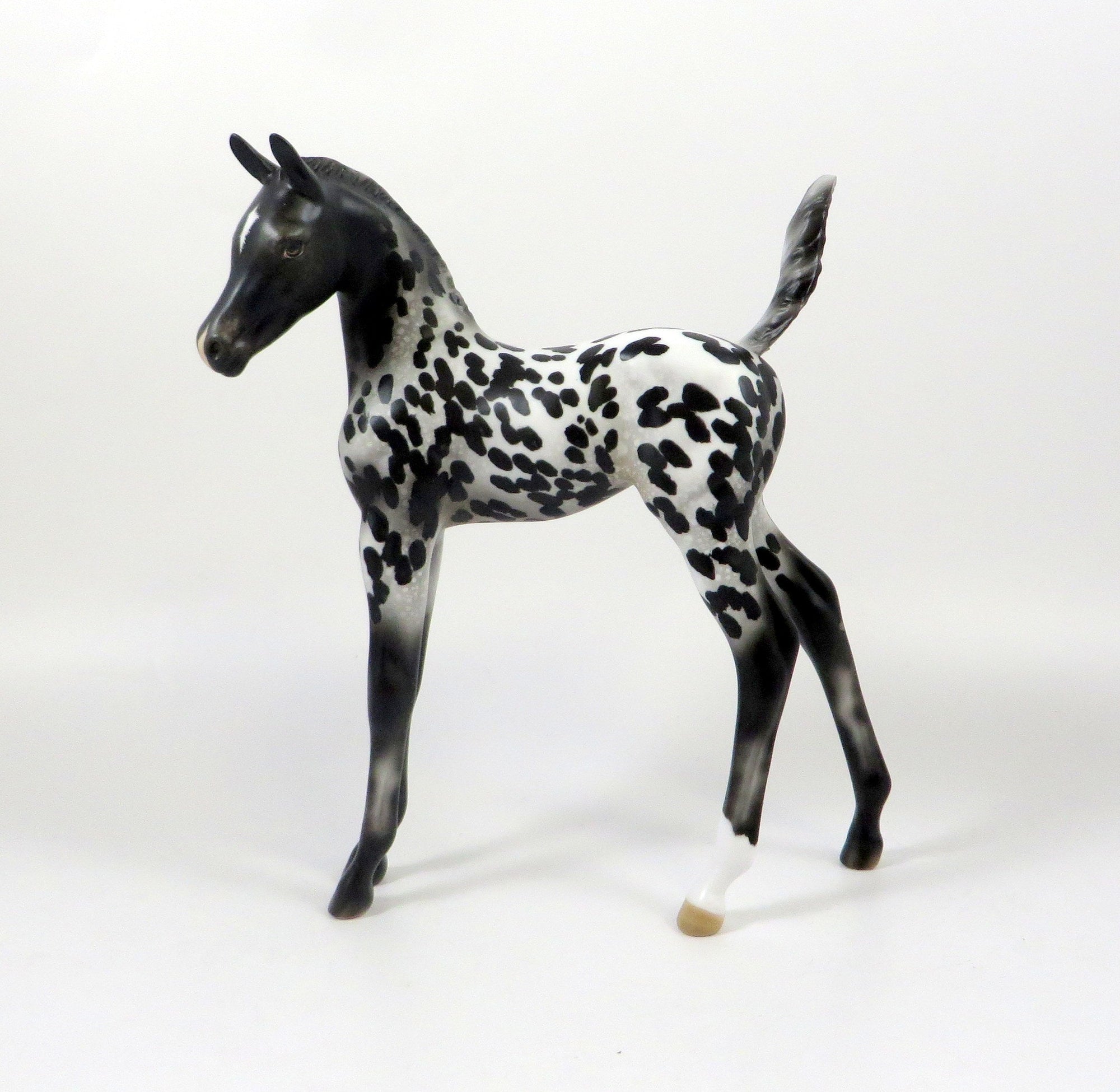 LIL BIT OF SPICE-OOAK LOUD APPALOOSA ARABIAN FOAL MODEL HORSE 8/6/19