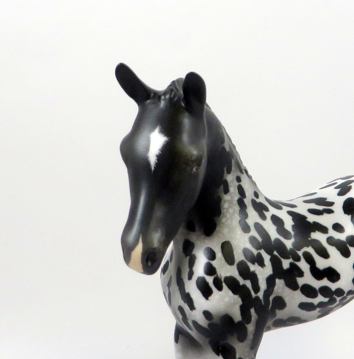 LIL BIT OF SPICE-OOAK LOUD APPALOOSA ARABIAN FOAL MODEL HORSE 8/6/19