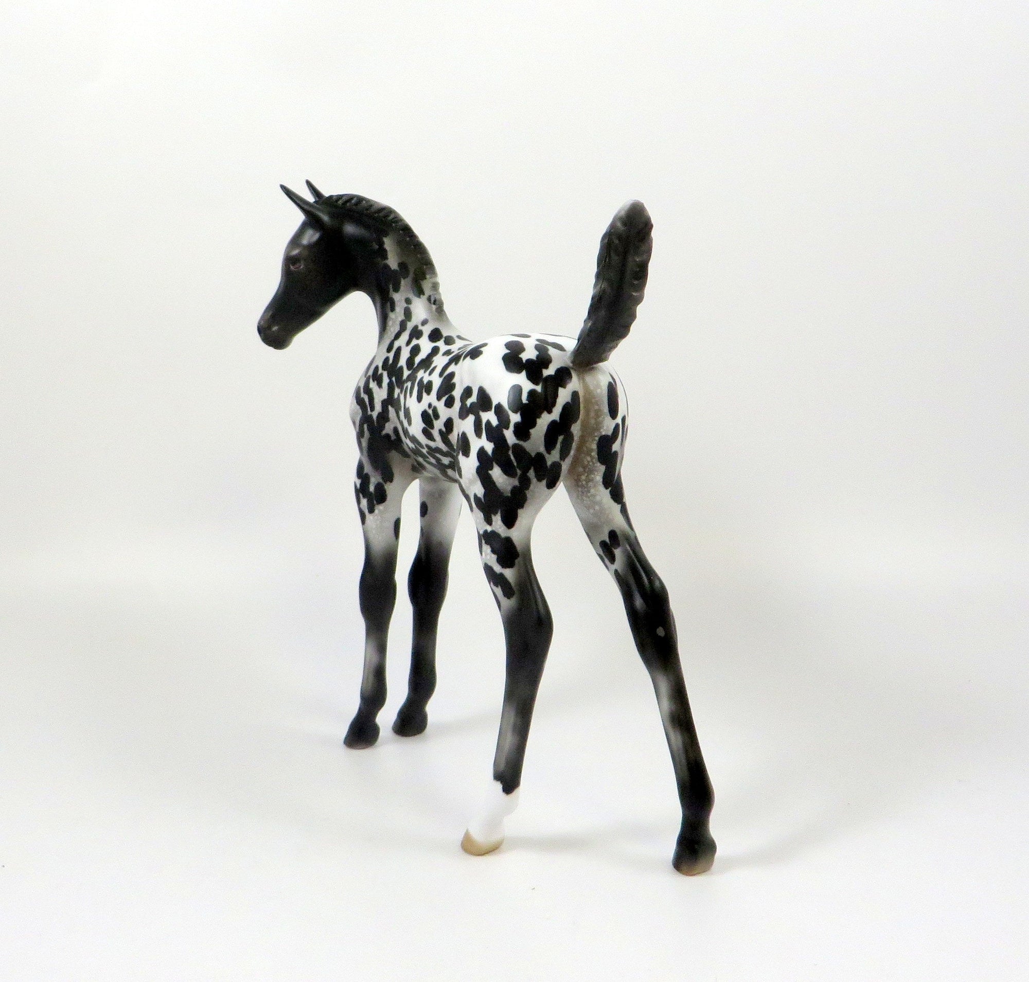 LIL BIT OF SPICE-OOAK LOUD APPALOOSA ARABIAN FOAL MODEL HORSE 8/6/19