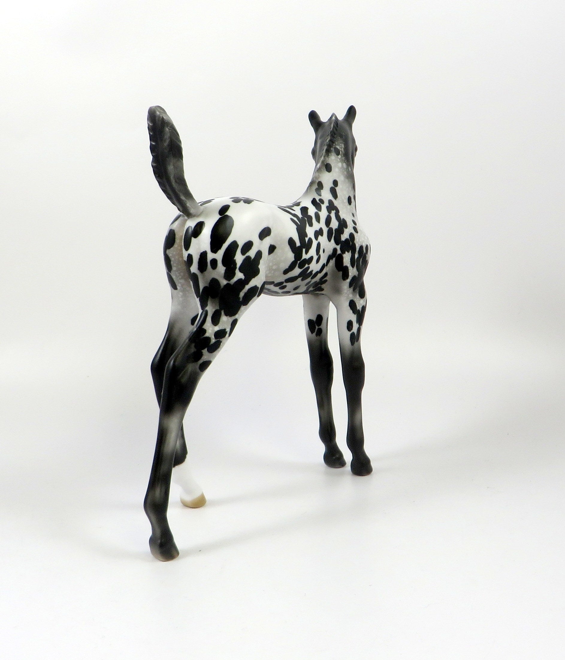 LIL BIT OF SPICE-OOAK LOUD APPALOOSA ARABIAN FOAL MODEL HORSE 8/6/19
