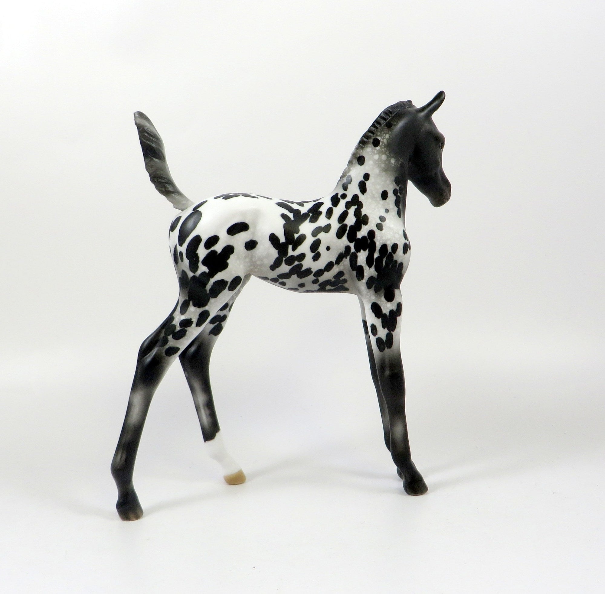 LIL BIT OF SPICE-OOAK LOUD APPALOOSA ARABIAN FOAL MODEL HORSE 8/6/19