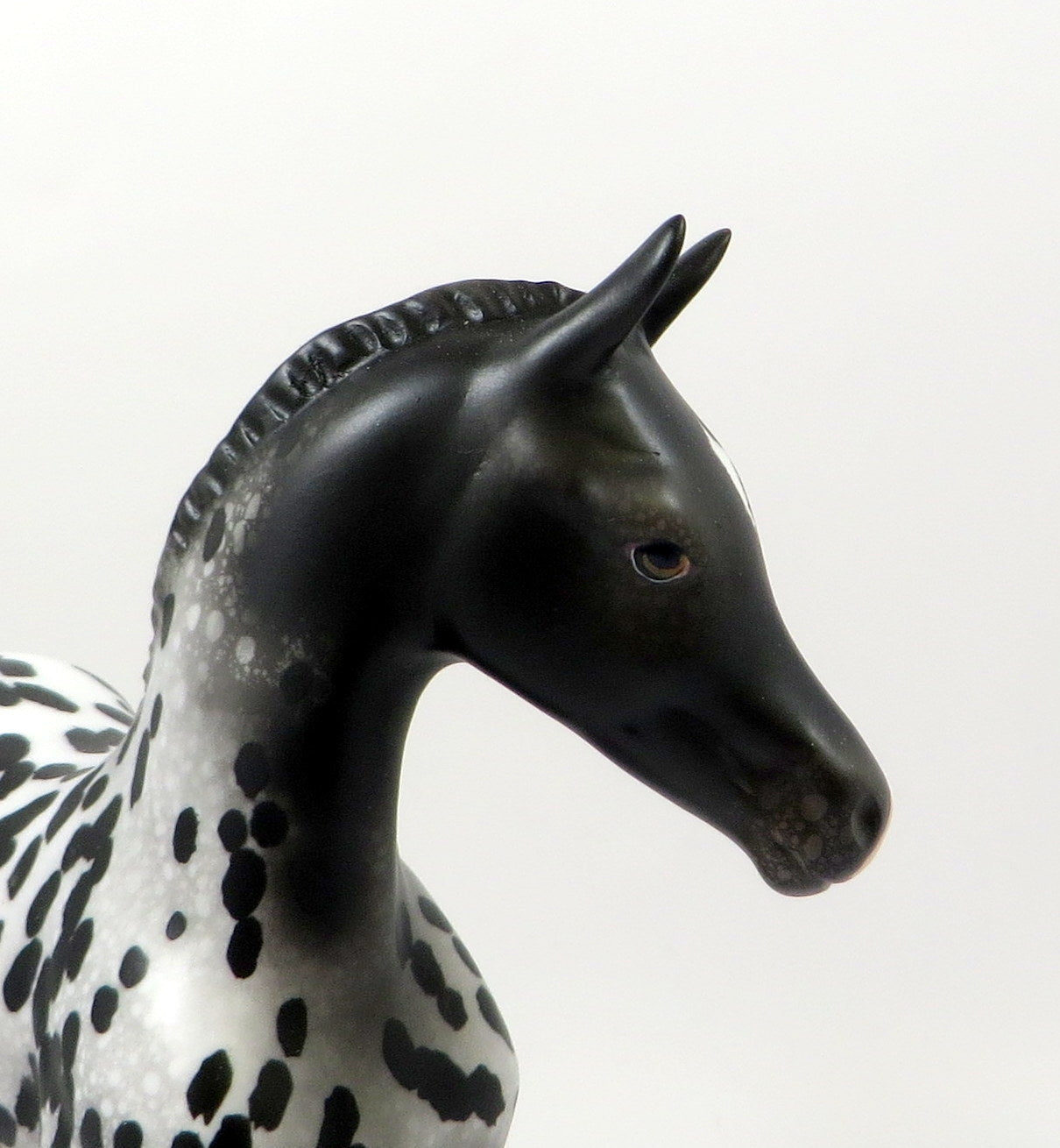 LIL BIT OF SPICE-OOAK LOUD APPALOOSA ARABIAN FOAL MODEL HORSE 8/6/19