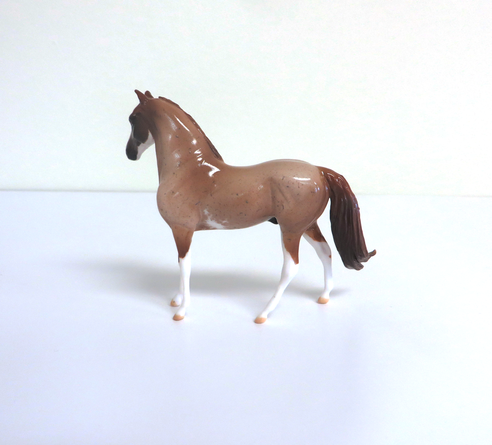 BACKGROUND CHECK-OOAK ROAN PINTO MORGAN EA19