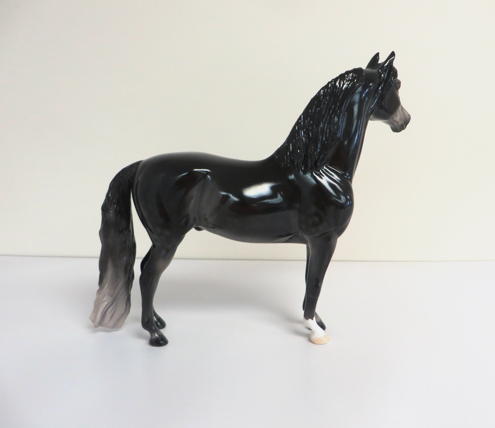 BUCKEYE - OOAK BLACK GOING GREY DAPPLED MORGAN BY JULIE KEIM MW19