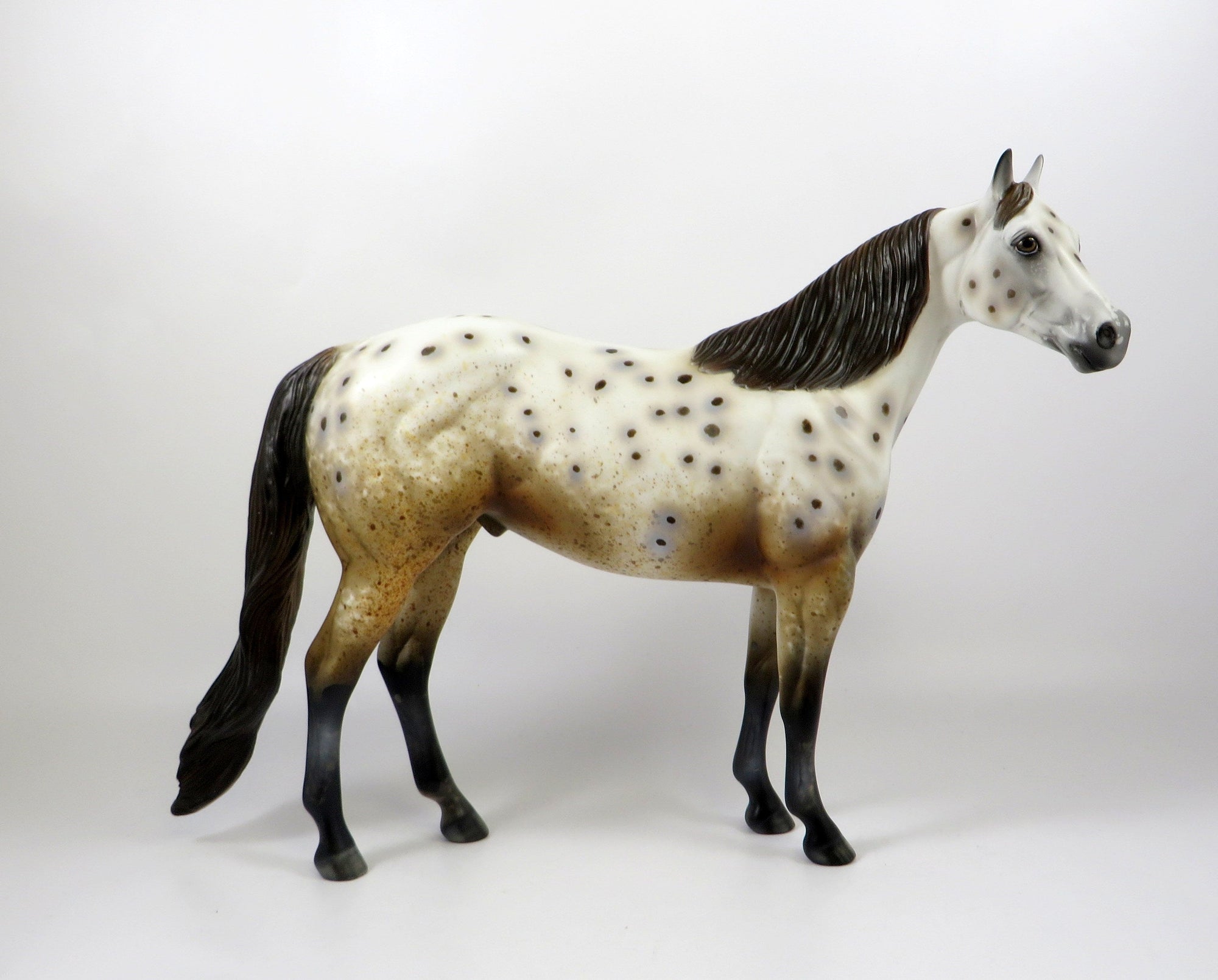 NAKIMA-OOAK CHESTNUT APPALOOSA ISH MODEL HORSE 8/6/19