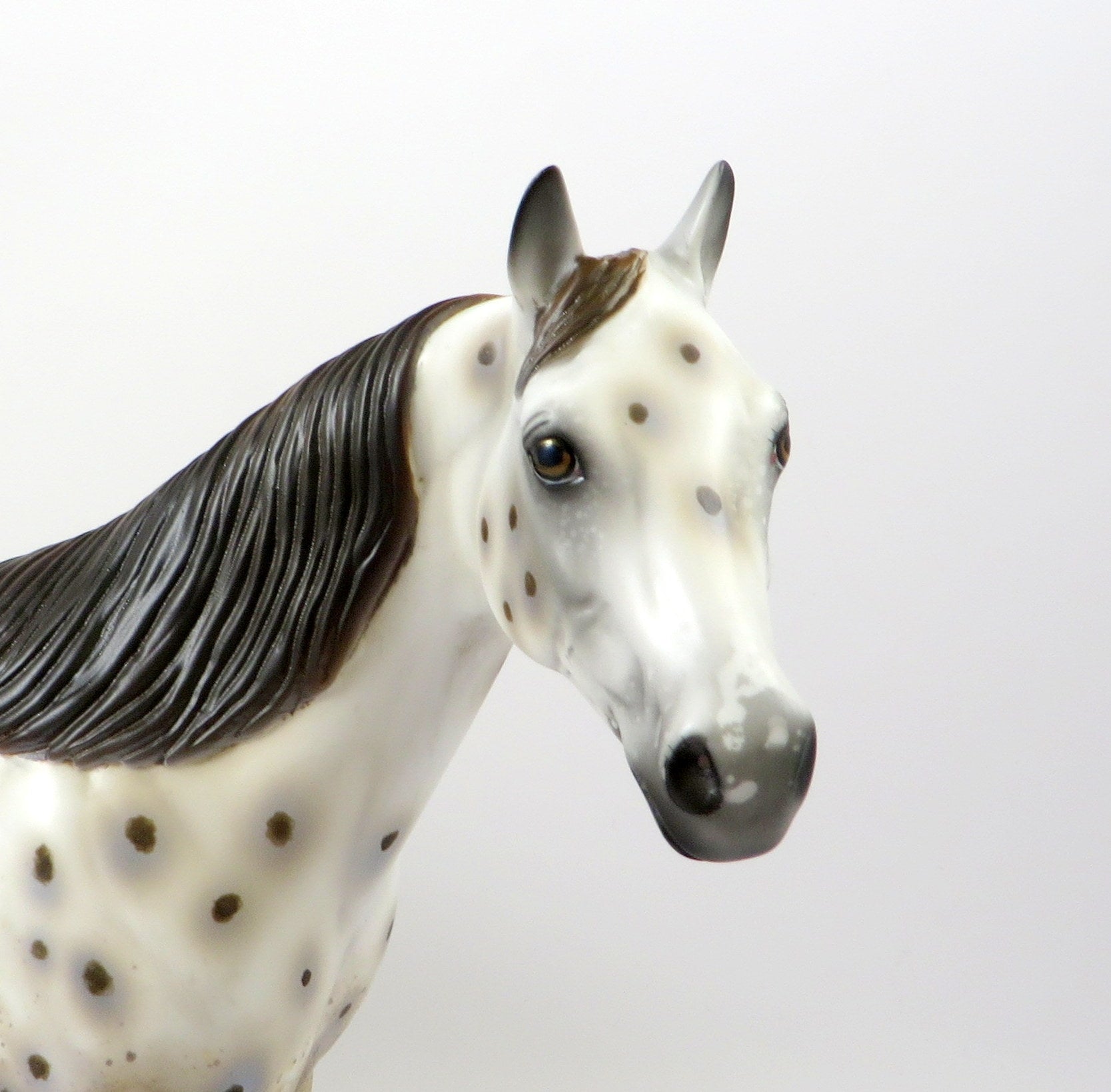 NAKIMA-OOAK CHESTNUT APPALOOSA ISH MODEL HORSE 8/6/19