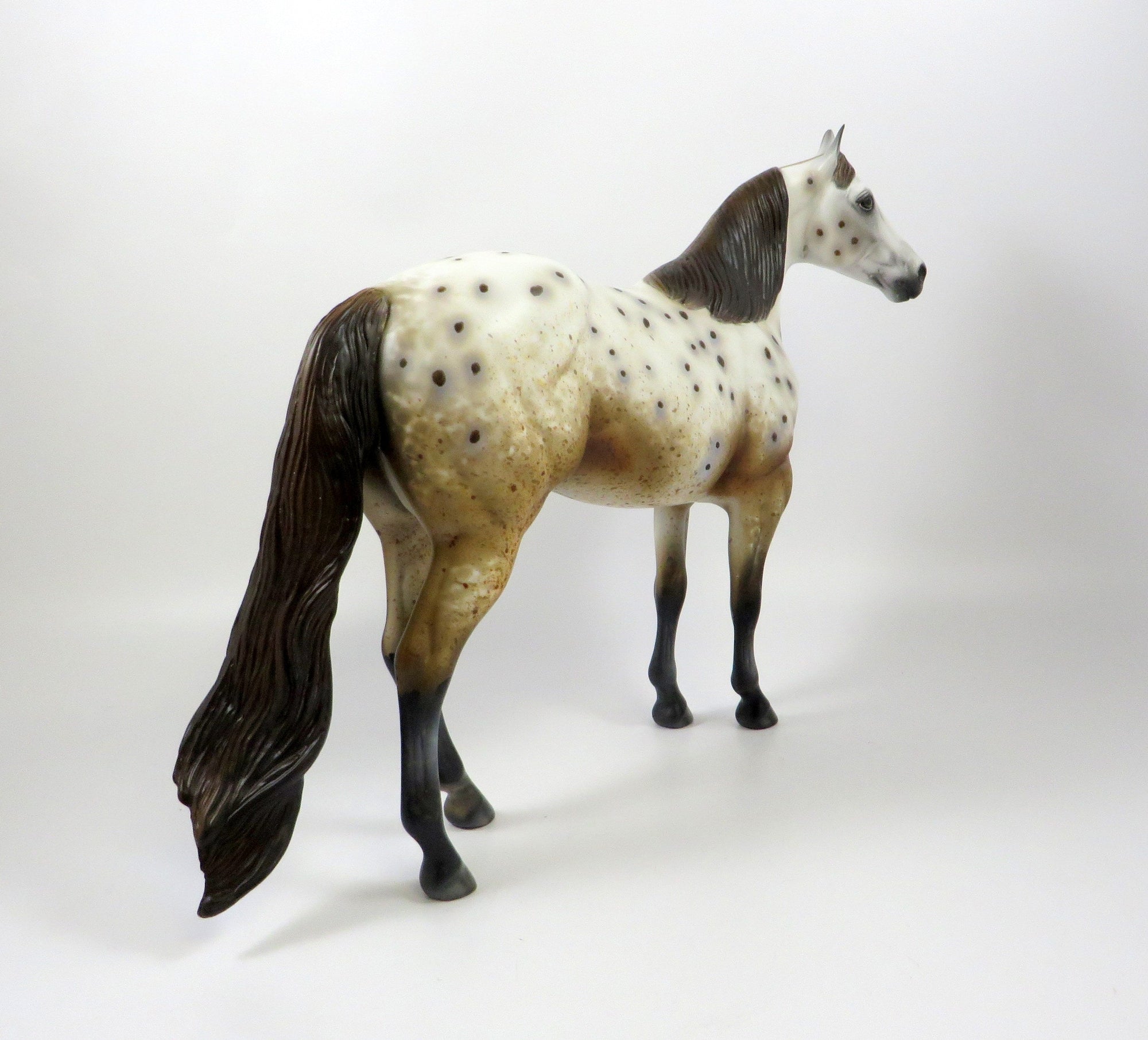 NAKIMA-OOAK CHESTNUT APPALOOSA ISH MODEL HORSE 8/6/19
