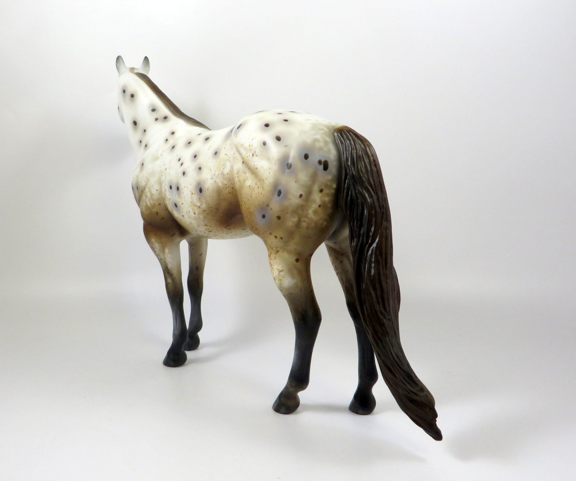 NAKIMA-OOAK CHESTNUT APPALOOSA ISH MODEL HORSE 8/6/19
