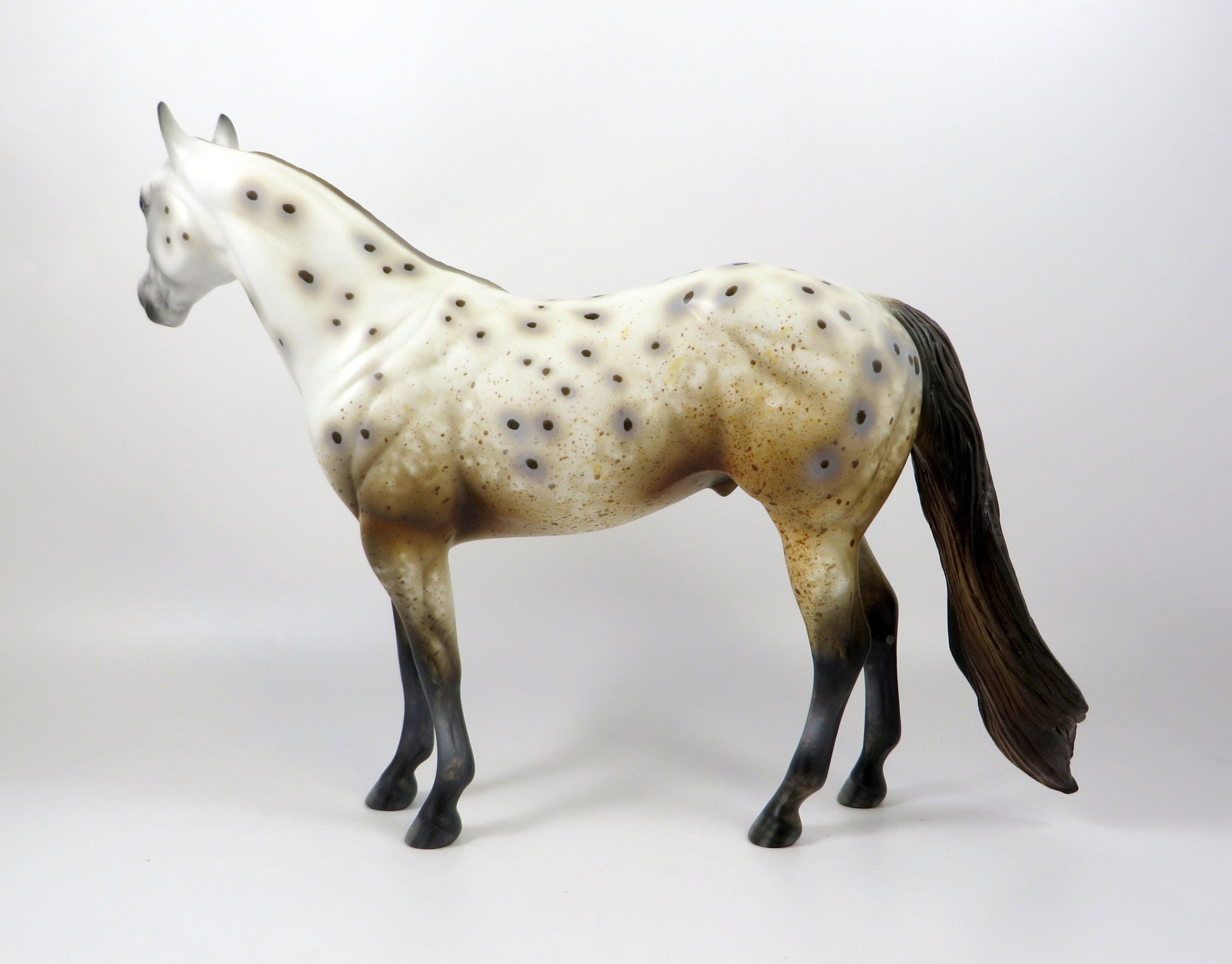 NAKIMA-OOAK CHESTNUT APPALOOSA ISH MODEL HORSE 8/6/19