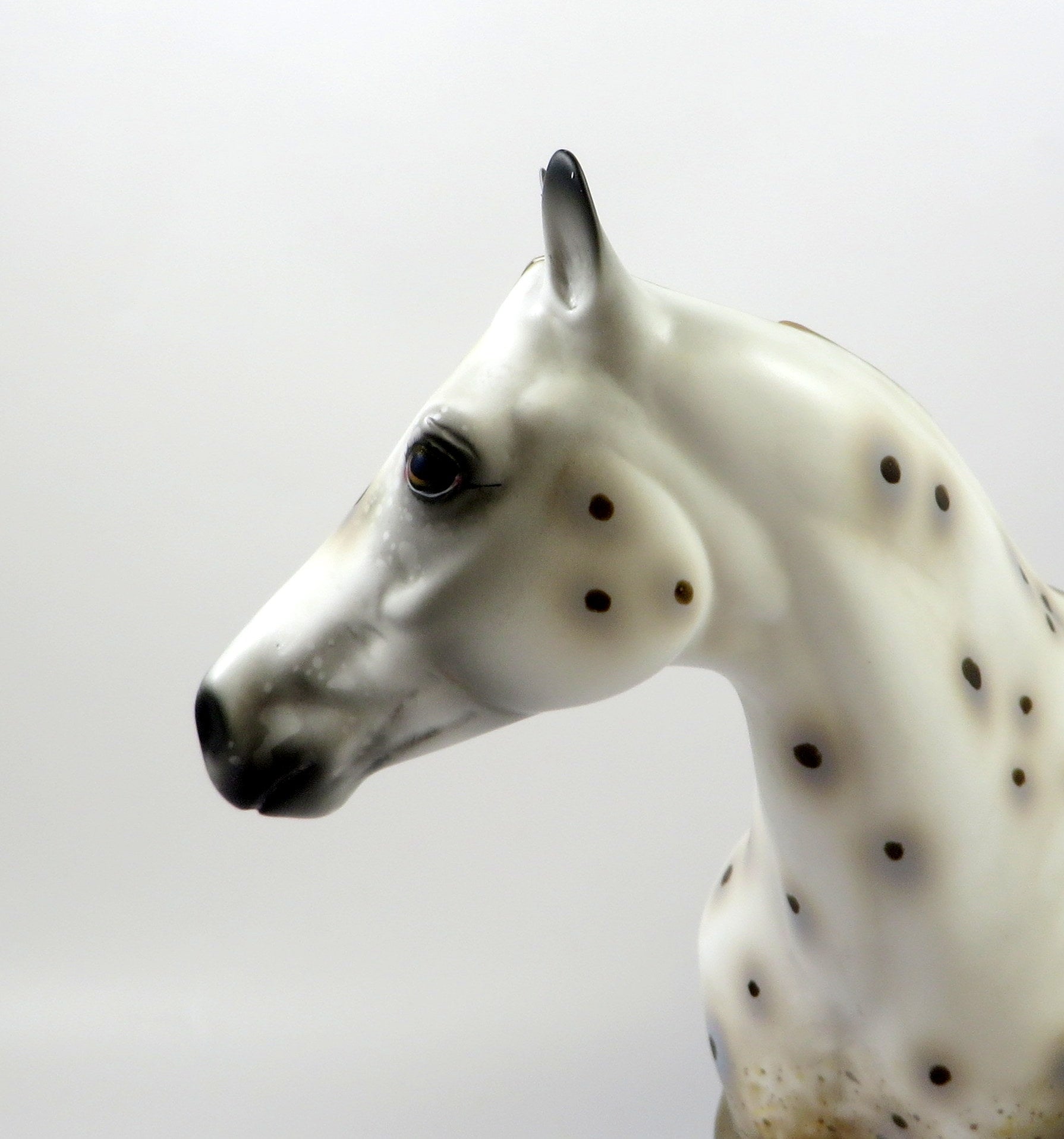 NAKIMA-OOAK CHESTNUT APPALOOSA ISH MODEL HORSE 8/6/19