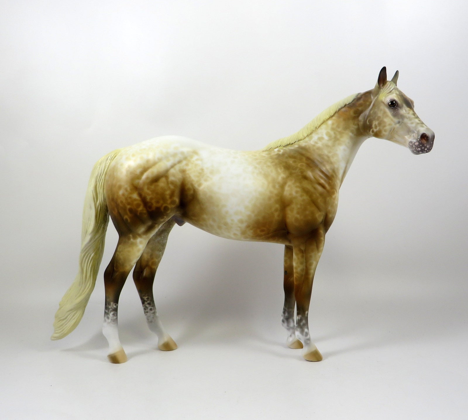 NORTON-OOAK SOOTY PALOMINO APPALOOSA ISH MODEL HORSE 8/6/19