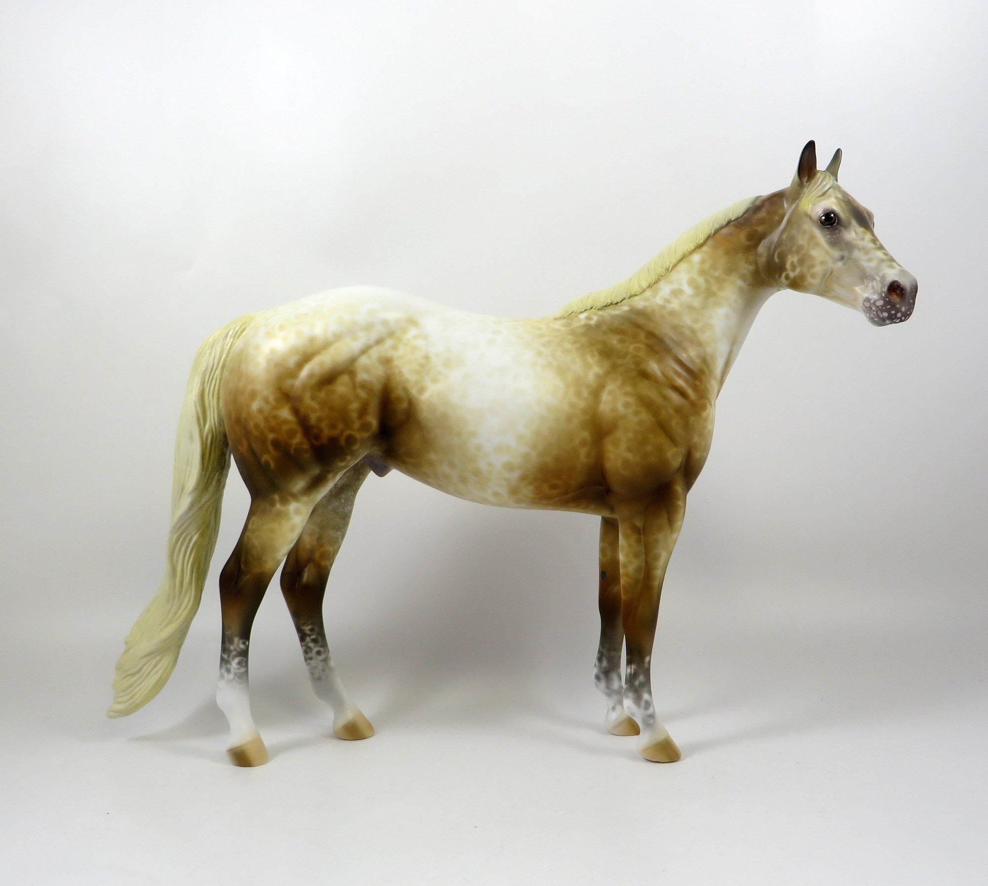 NORTON-OOAK SOOTY PALOMINO APPALOOSA ISH MODEL HORSE 8/6/19