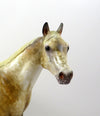 NORTON-OOAK SOOTY PALOMINO APPALOOSA ISH MODEL HORSE 8/6/19