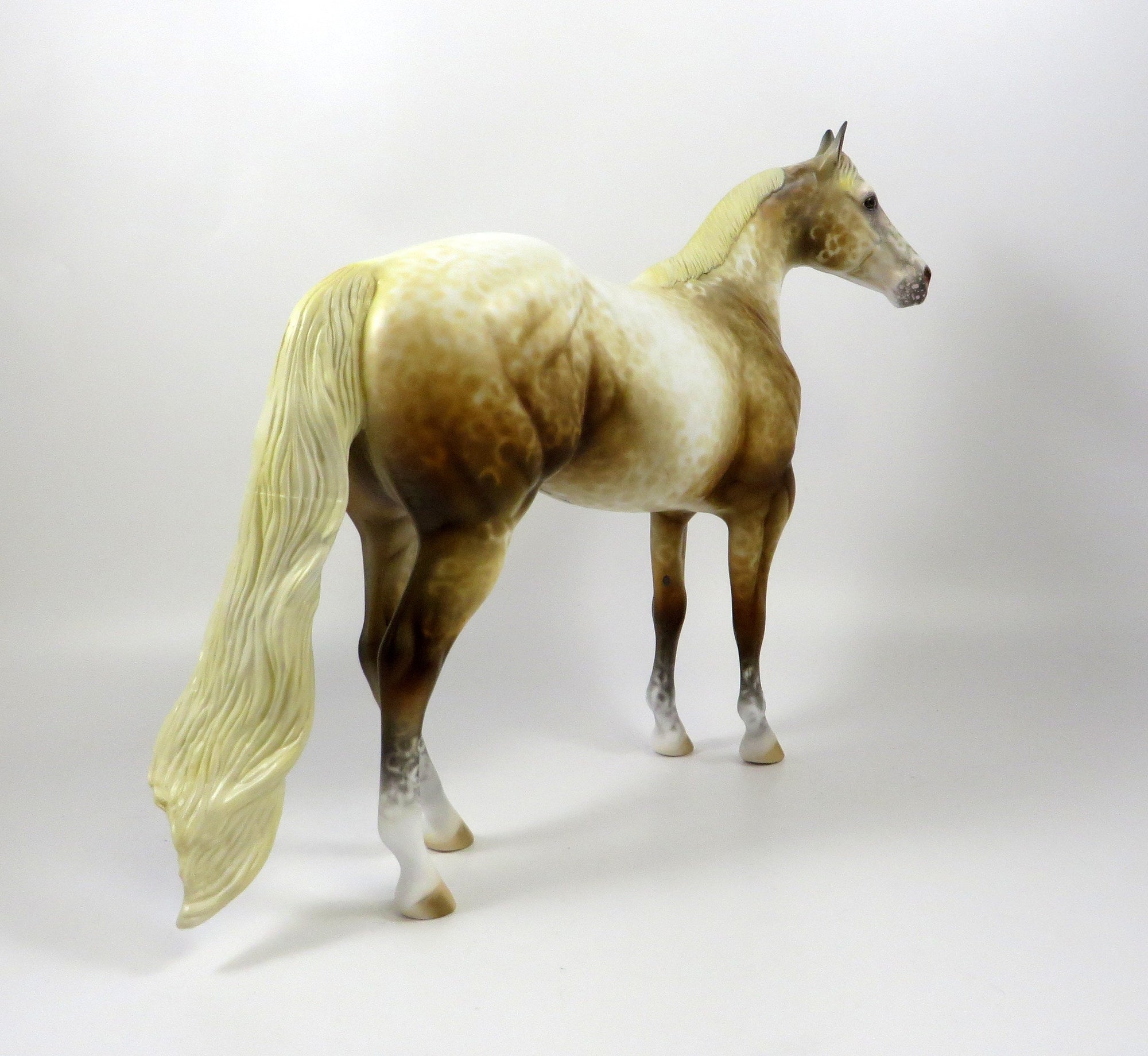 NORTON-OOAK SOOTY PALOMINO APPALOOSA ISH MODEL HORSE 8/6/19