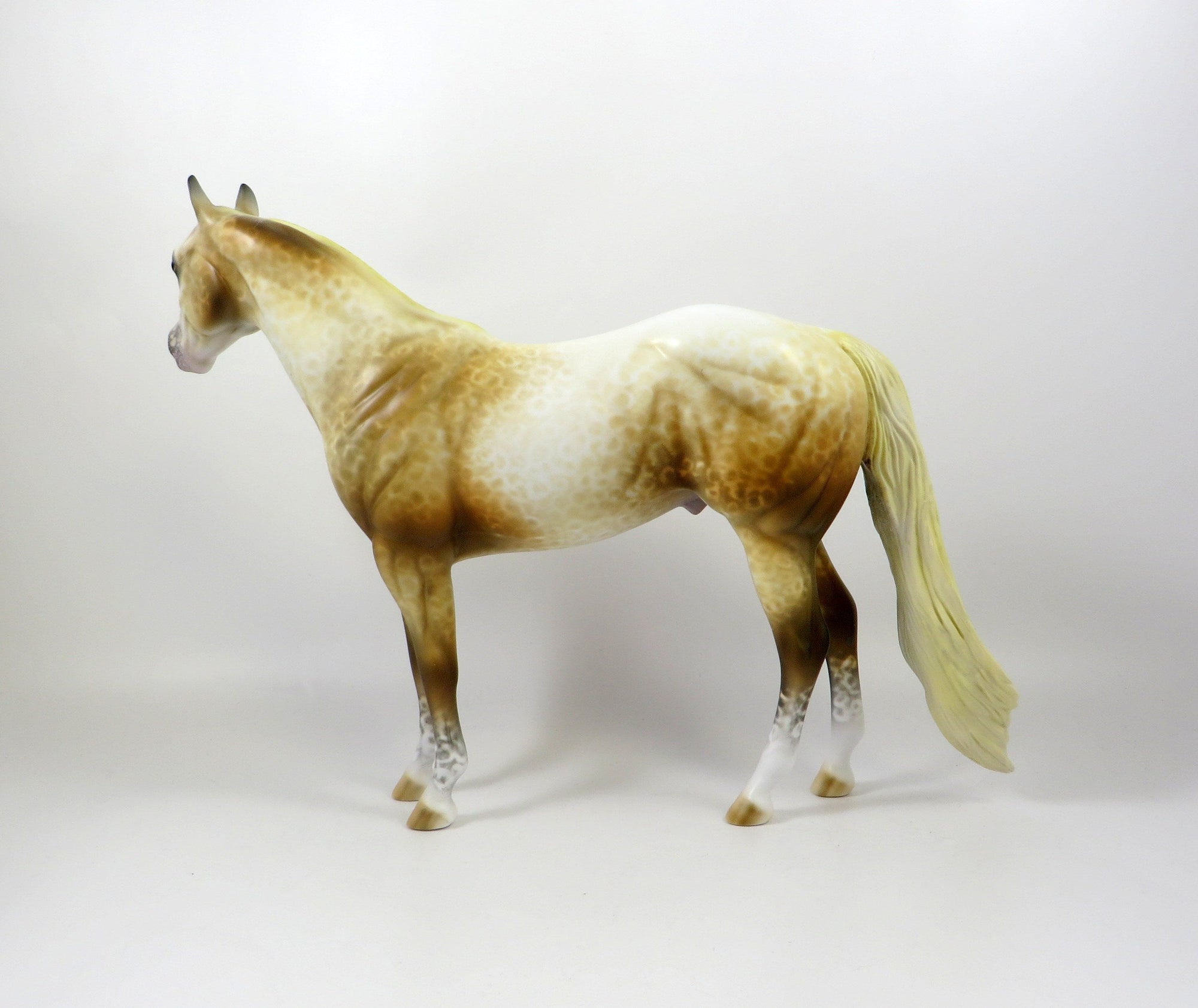 NORTON-OOAK SOOTY PALOMINO APPALOOSA ISH MODEL HORSE 8/6/19