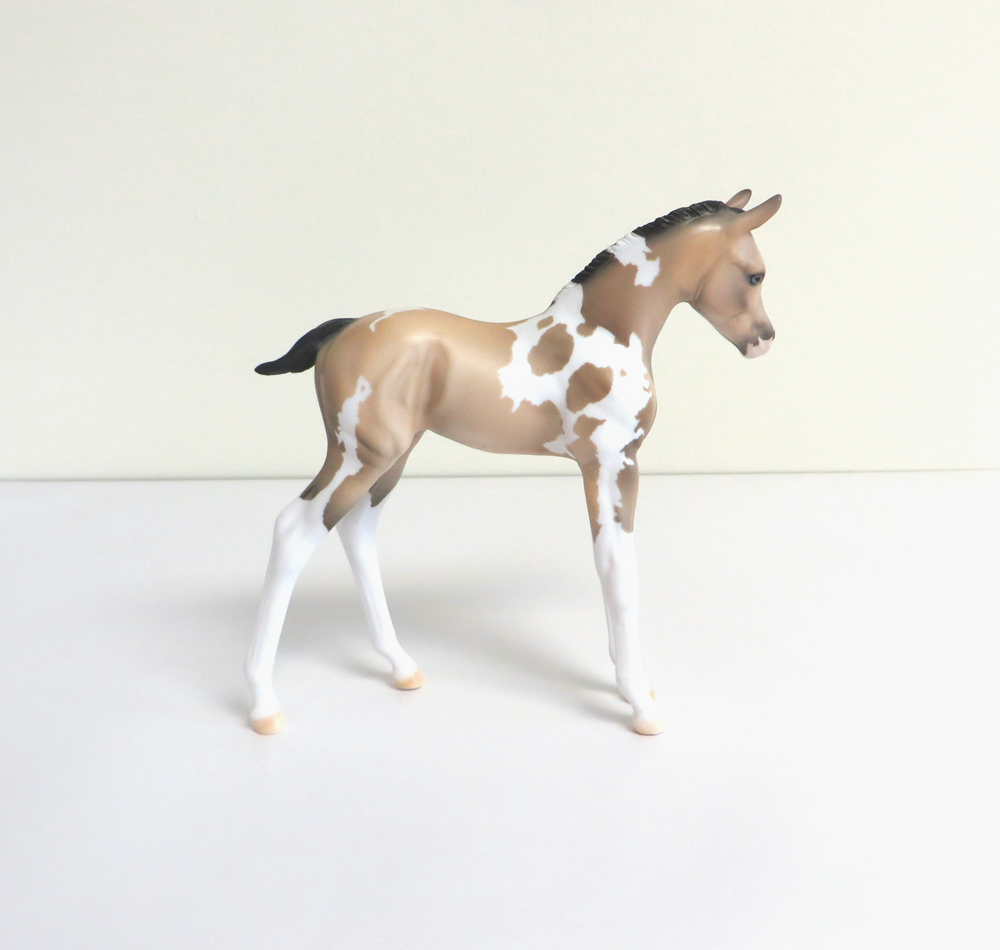 PETAL - LE-5 BUCKSKIN TOBIANO ARABIAN FOAL BY DAWN QUICK 3-12-19