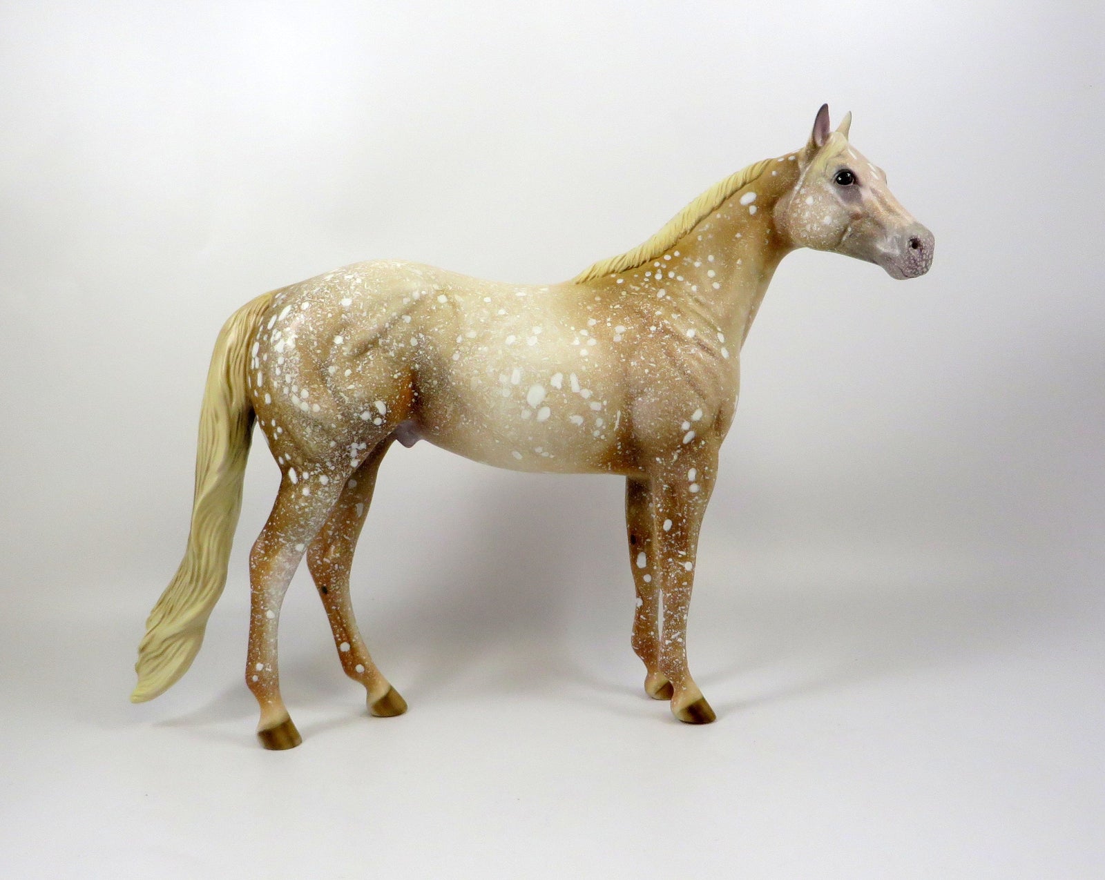 SECOYA-OOAK LIGHT CHESTNUT APPALOOSA ISH MODEL HORSE 8/6/19
