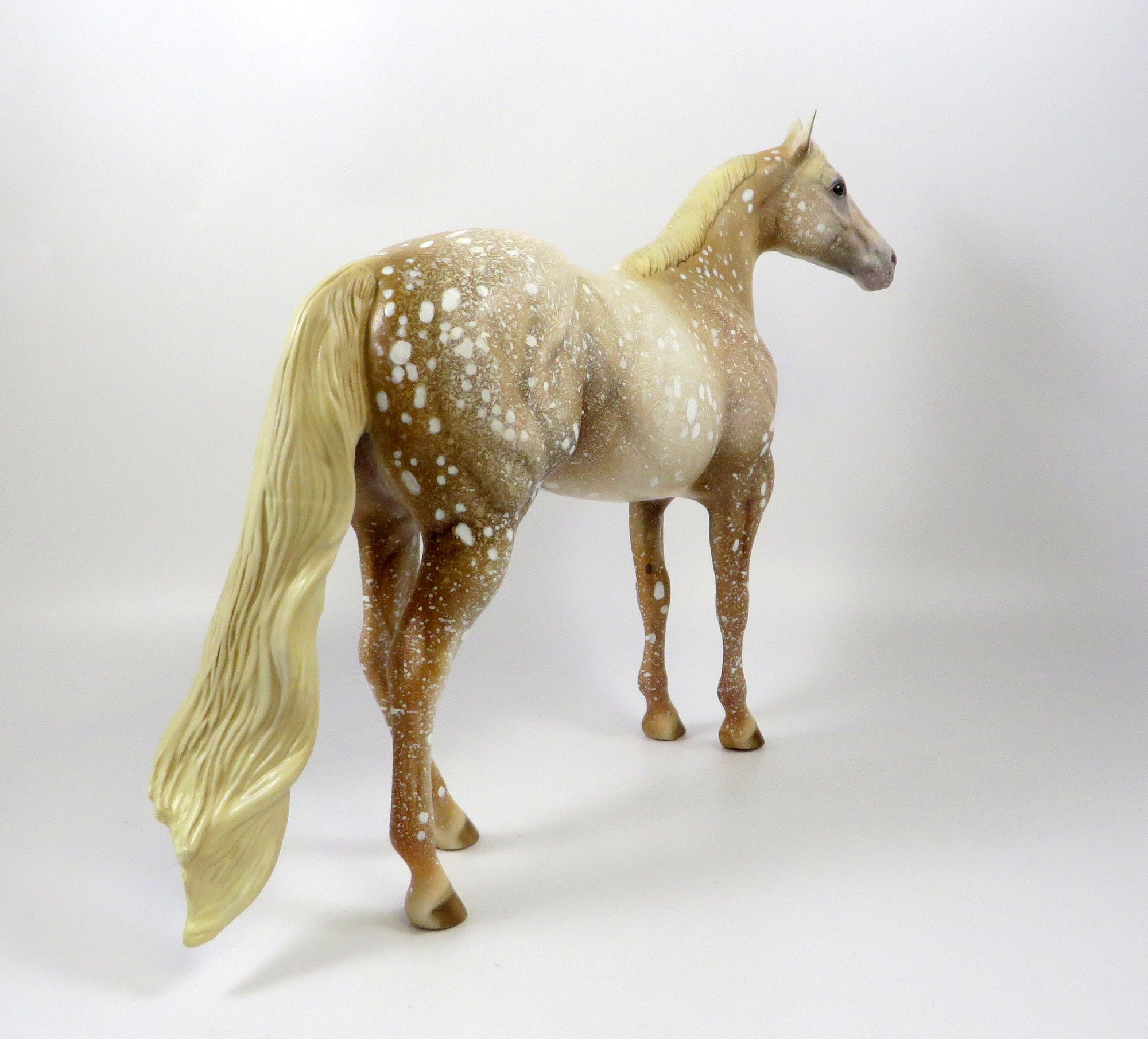 SECOYA-OOAK LIGHT CHESTNUT APPALOOSA ISH MODEL HORSE 8/6/19